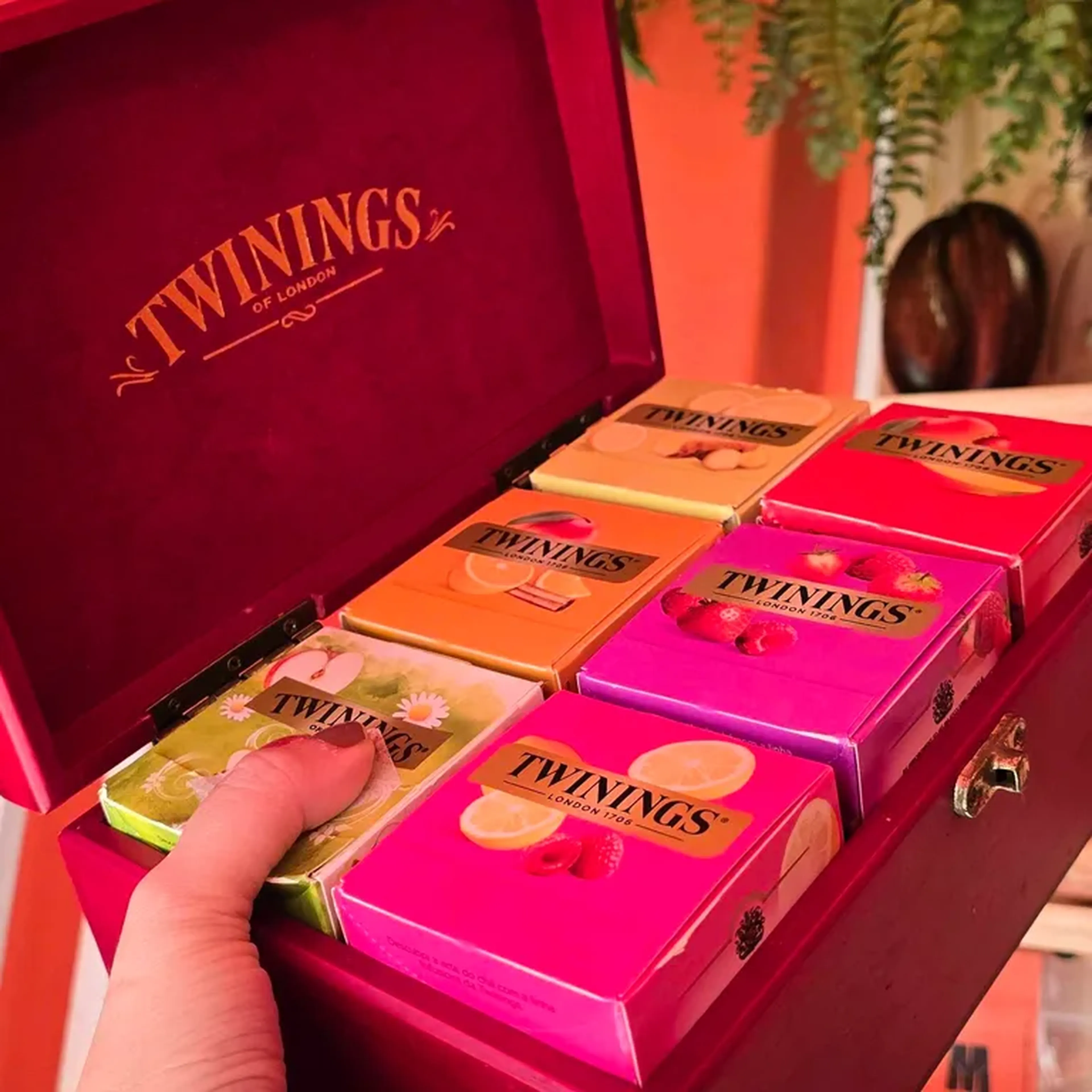Chá Twinings - Xícara 300ml imagem