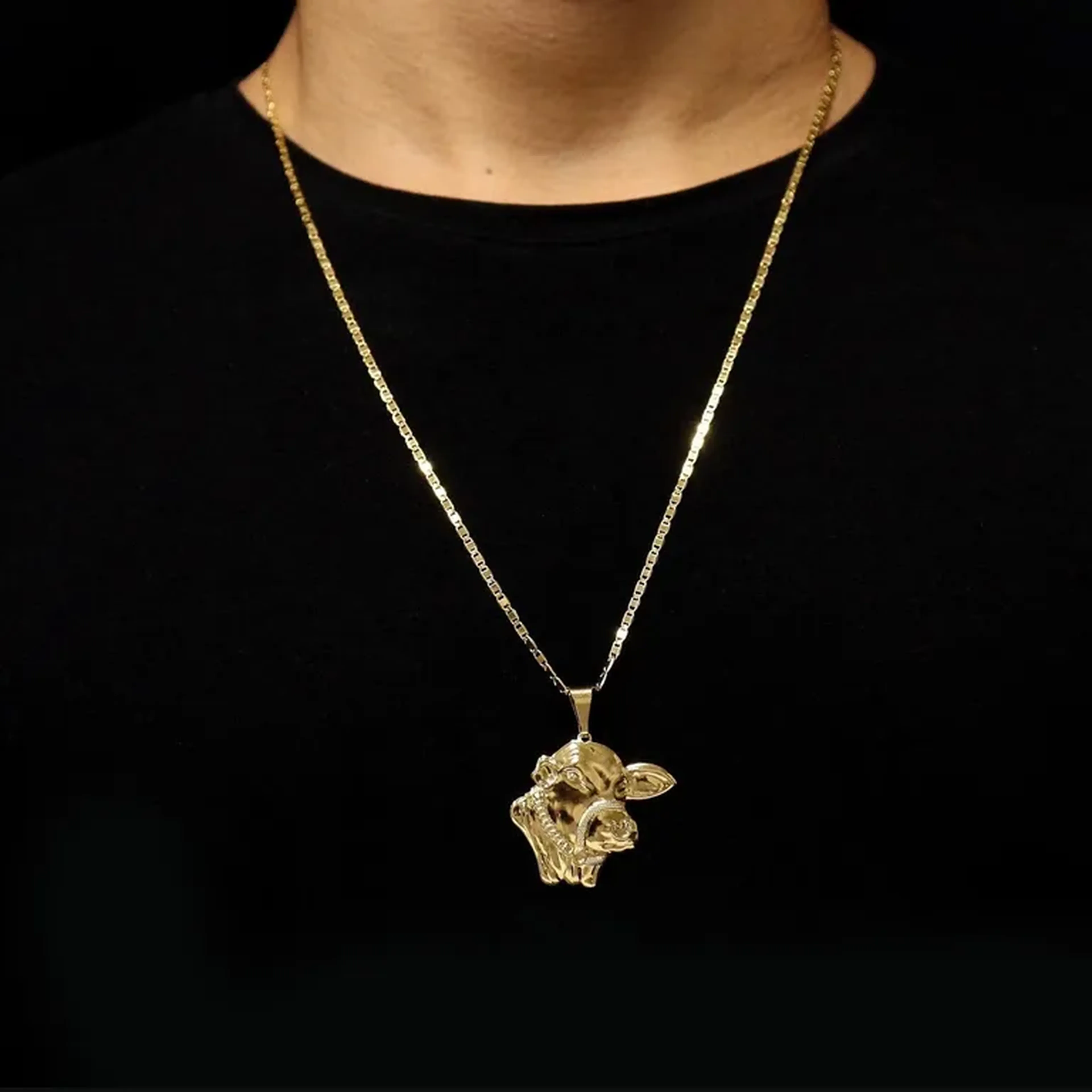 CORRENTE PIASTRINE 2,5MM + PINGENTE BOI NELORE imagem