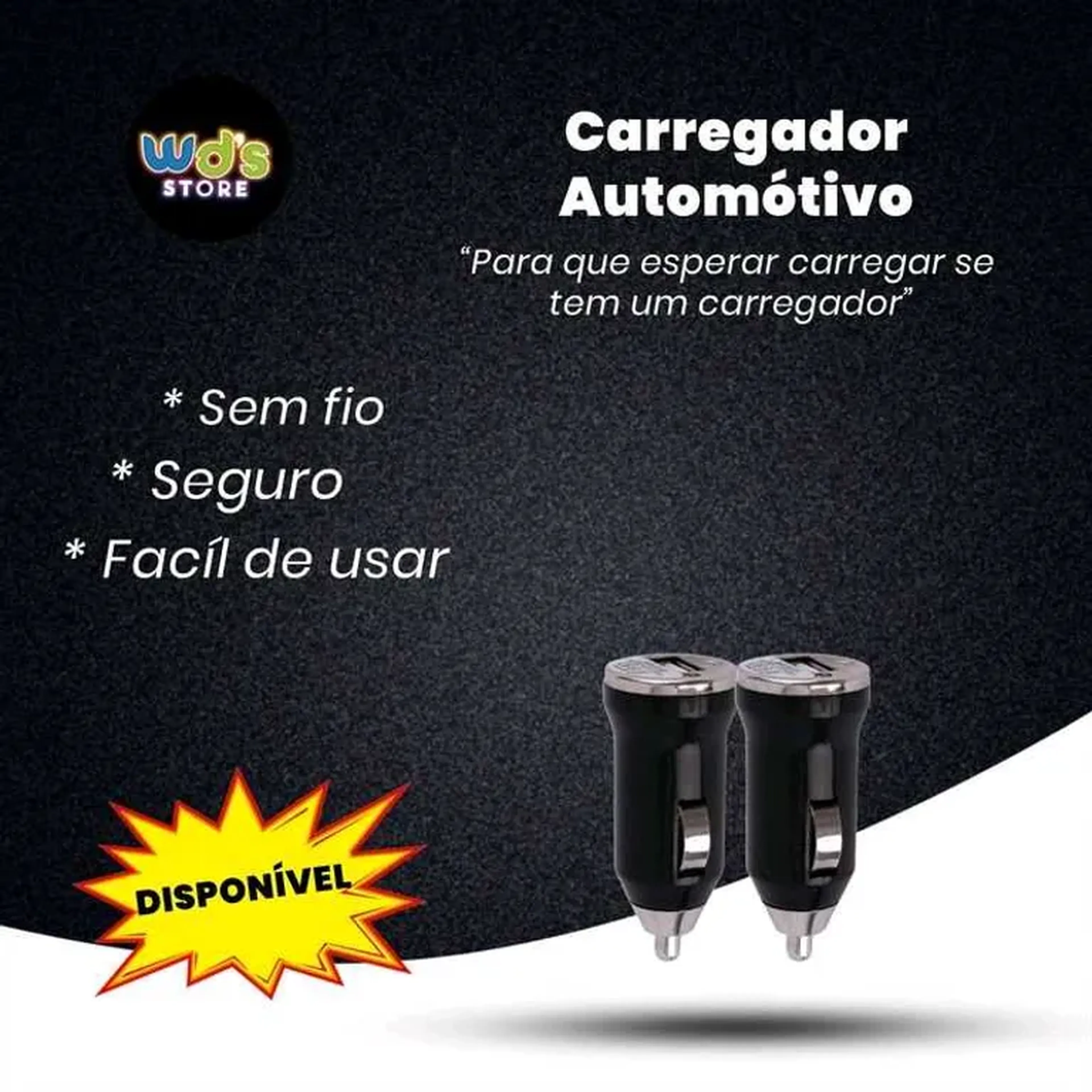 Carregador Veicular imagem