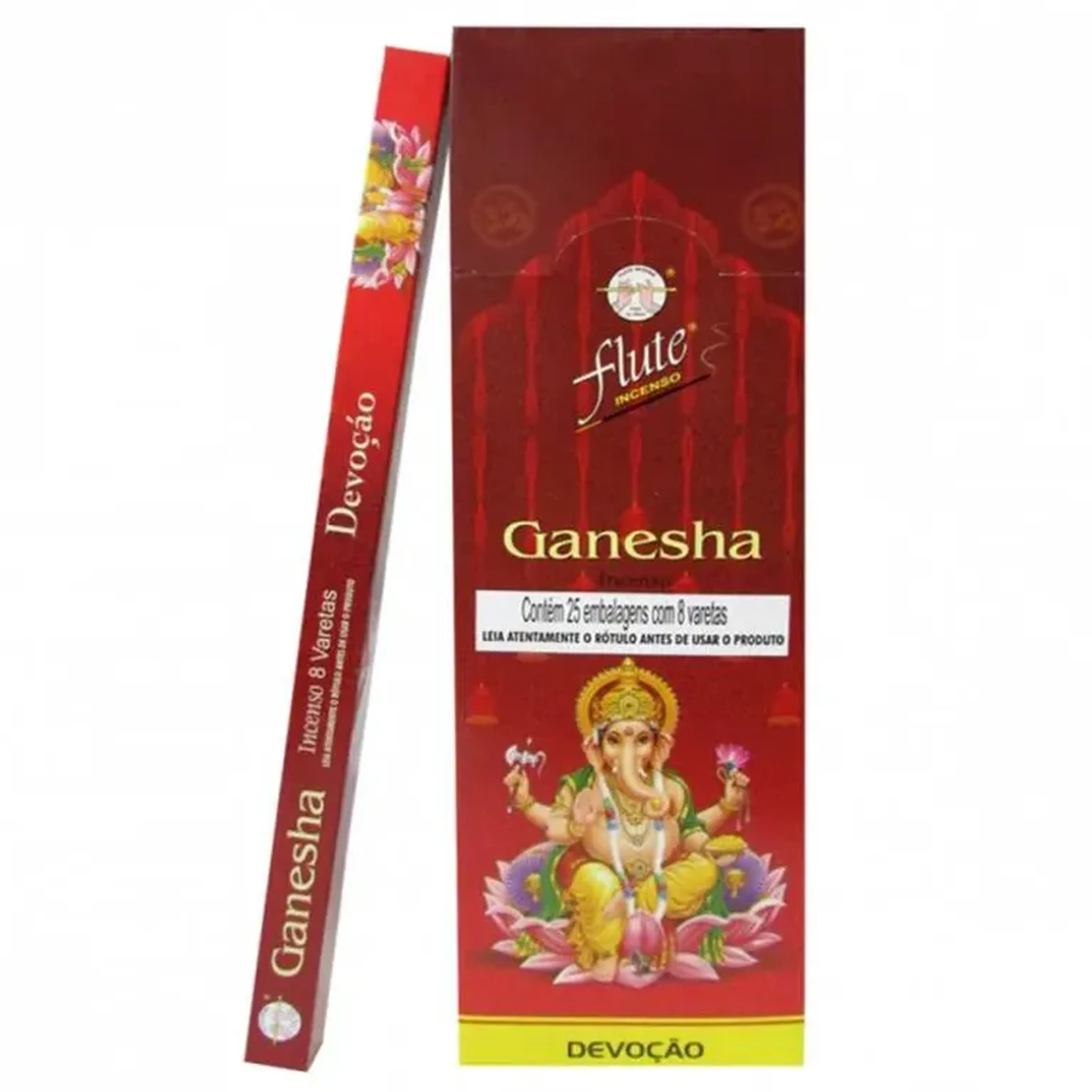 Ganesha: Devoção imagem