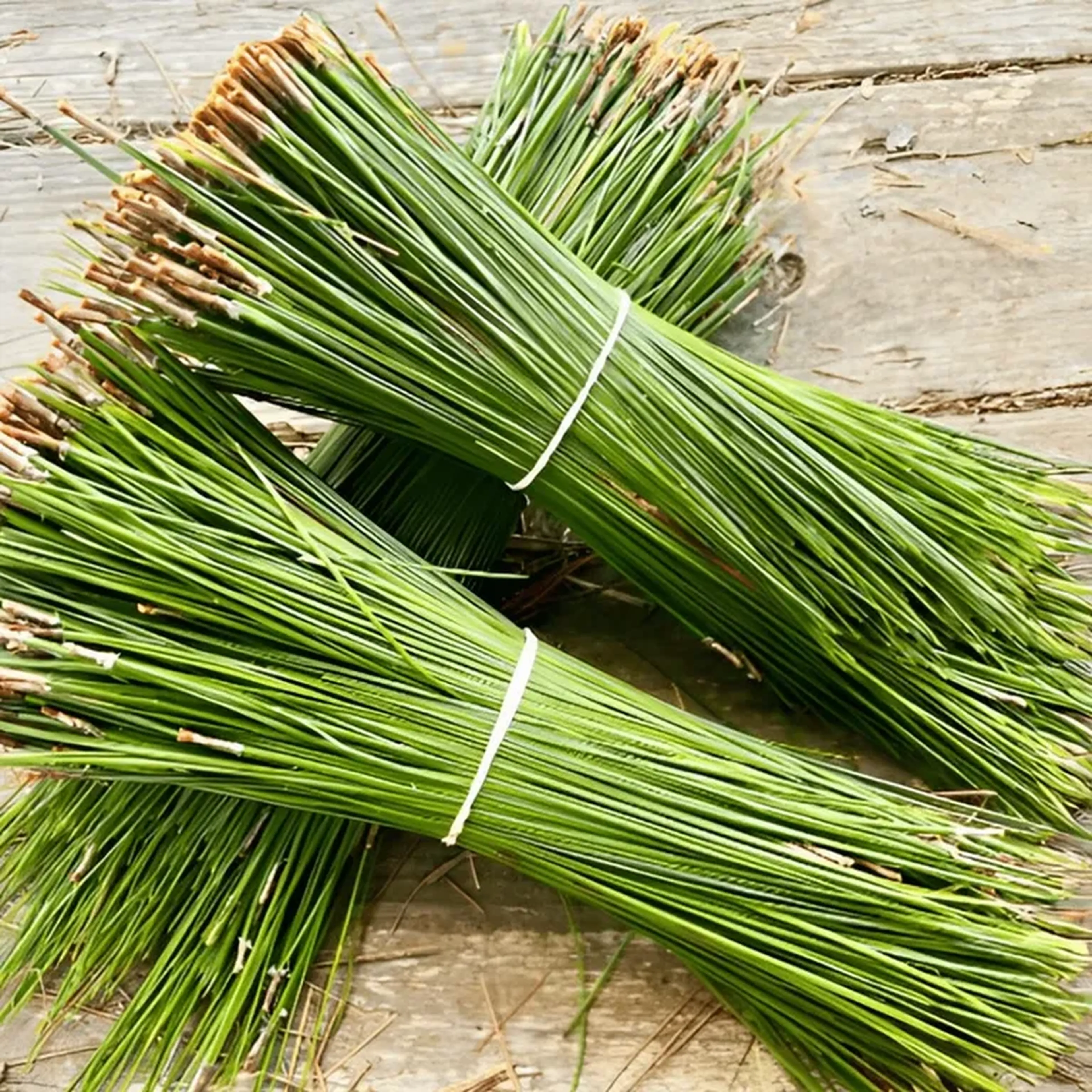 Agulha de Pinheiro em Natura 1Kg imagem