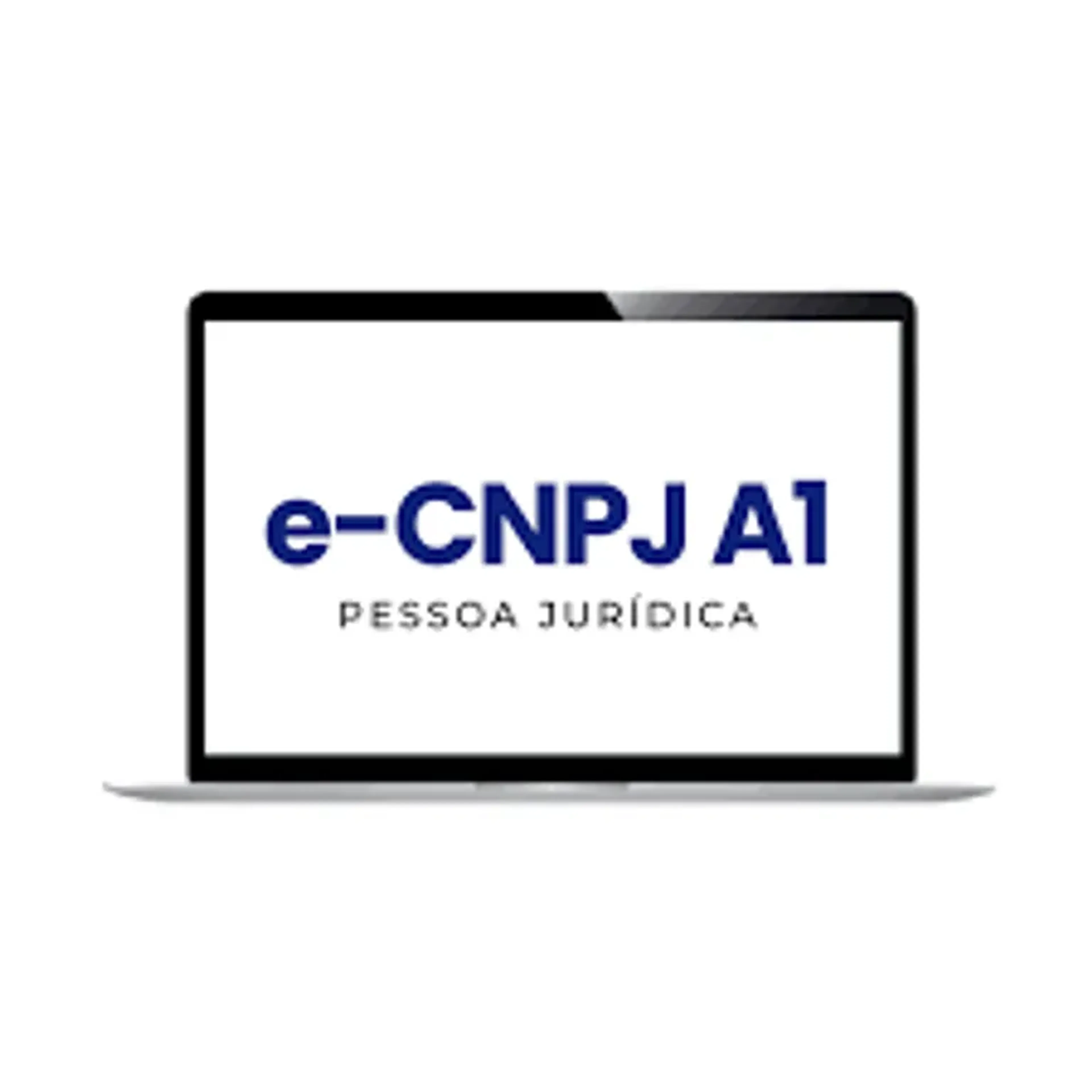 e-CNPJ A1 imagem