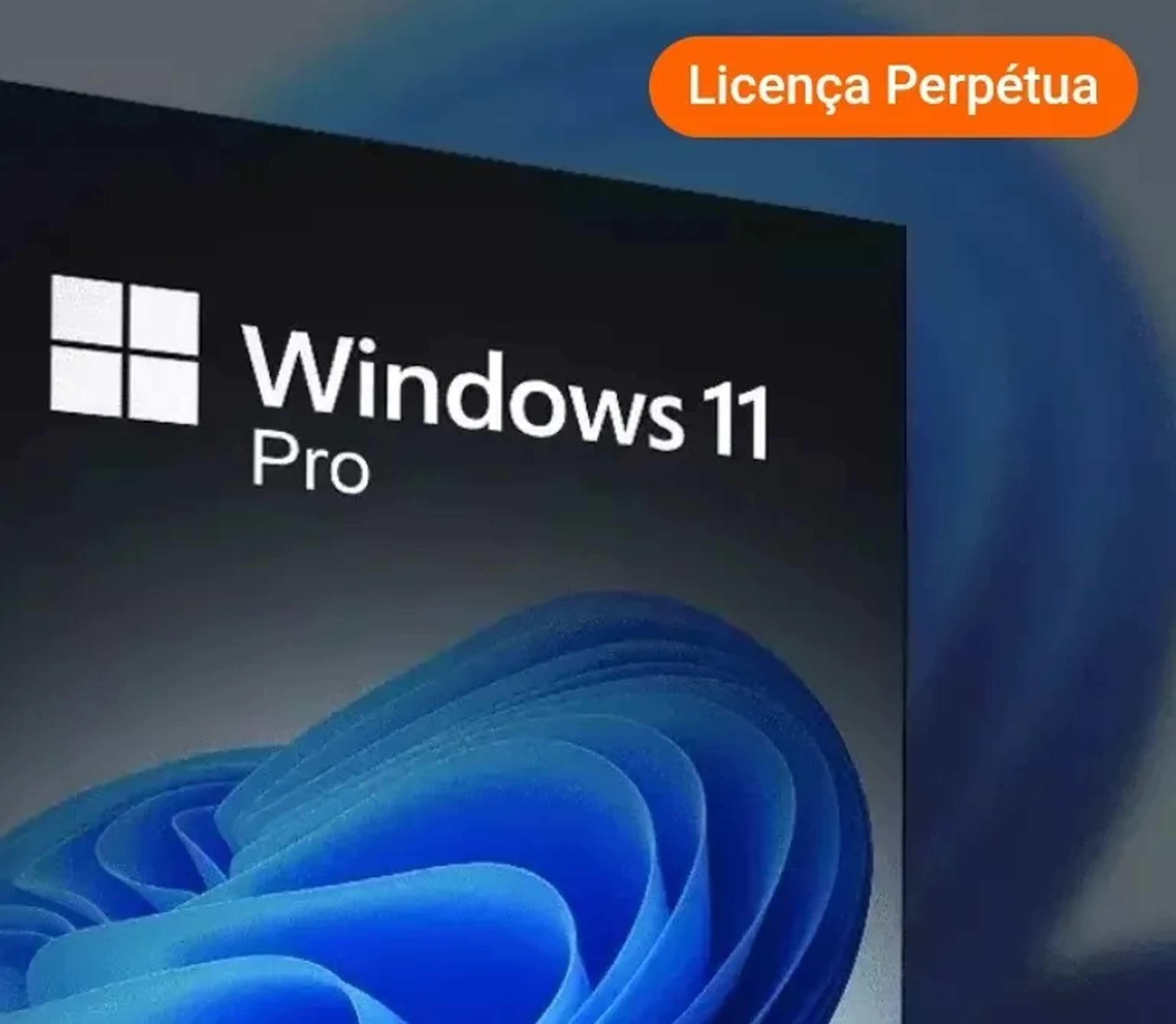 Windows 11 pro esd imagem