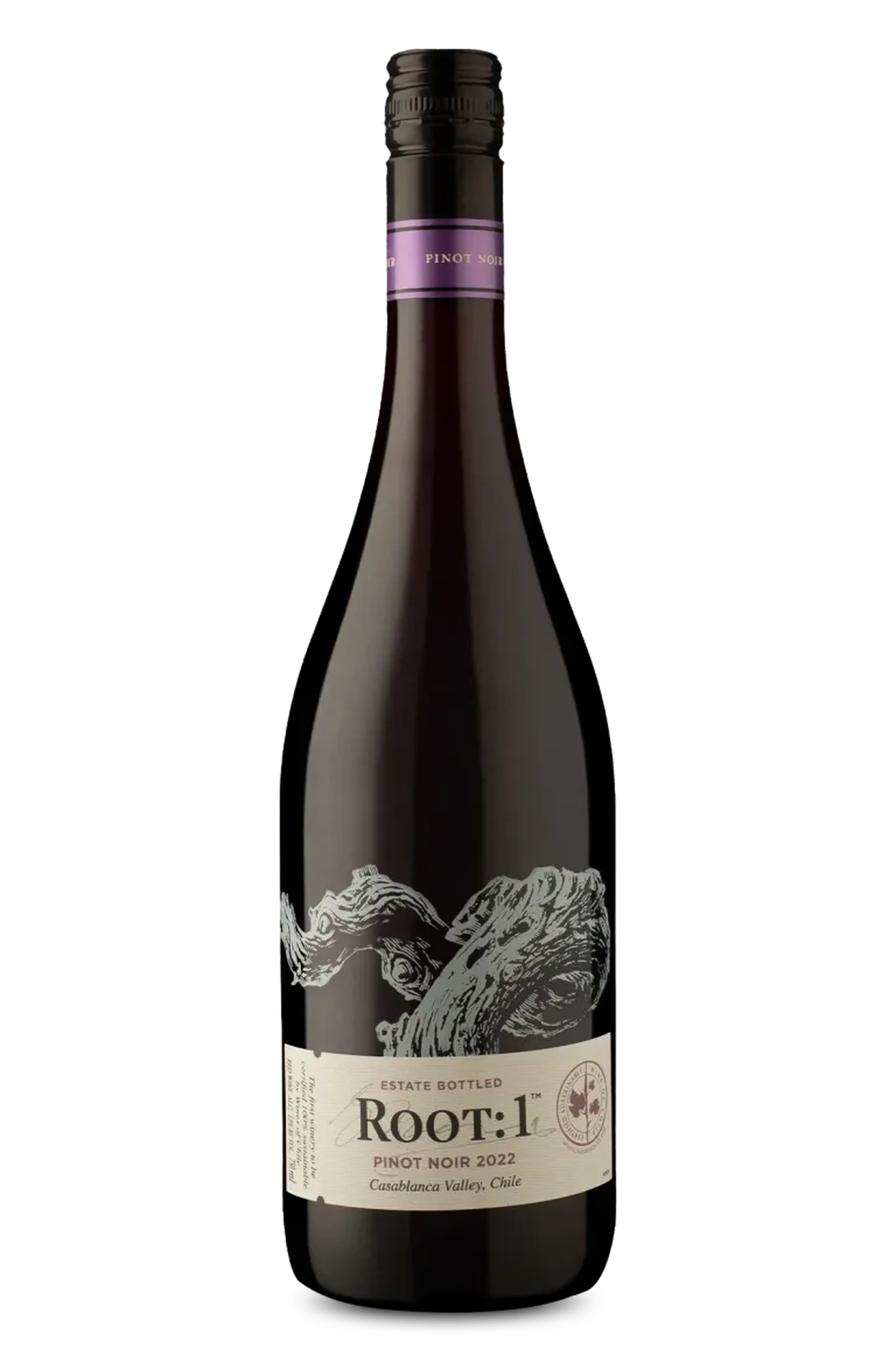 Root: 1 D.O. Valle De Casablanca Pinot Noir 2022 imagem