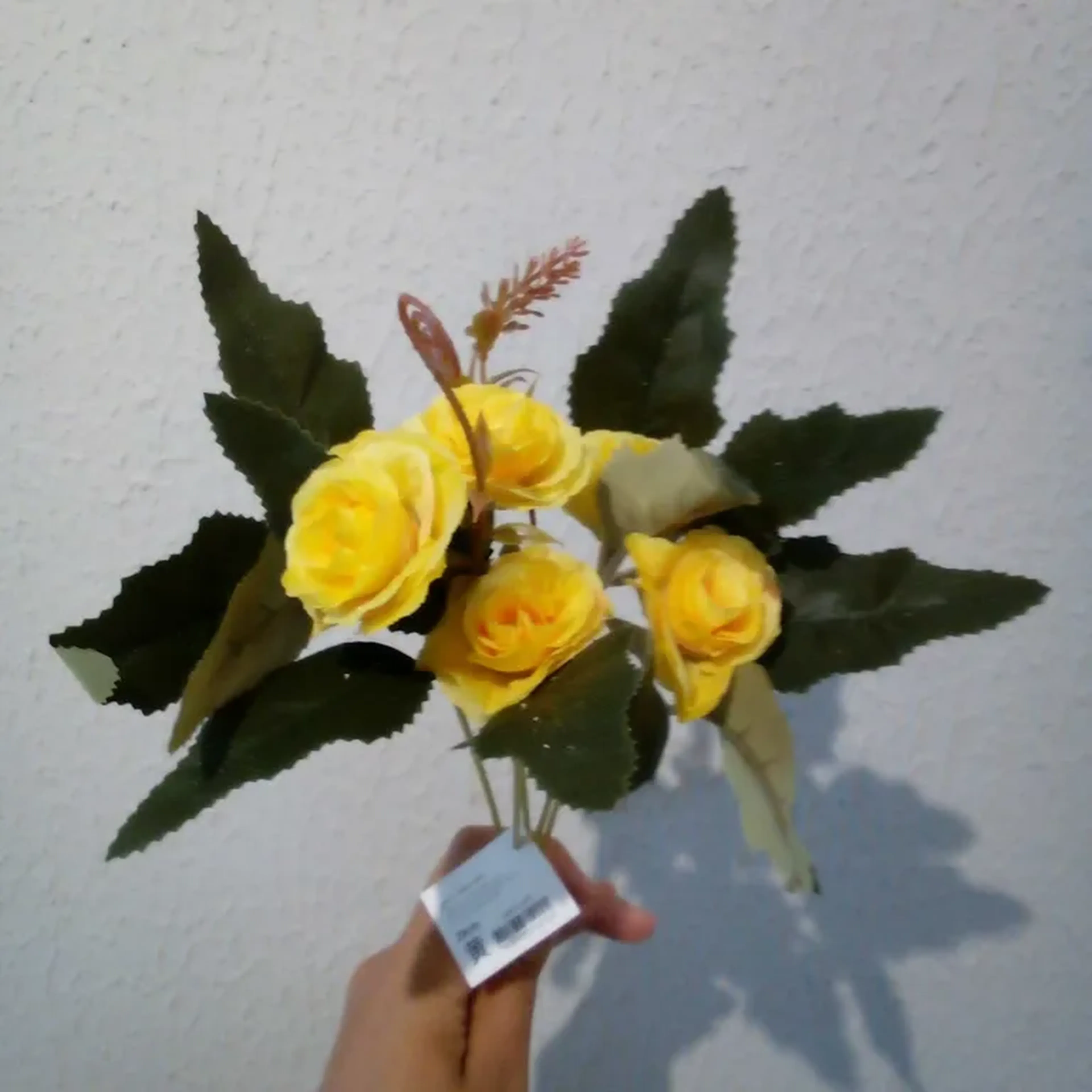 Rosa Amarelo Outono imagem