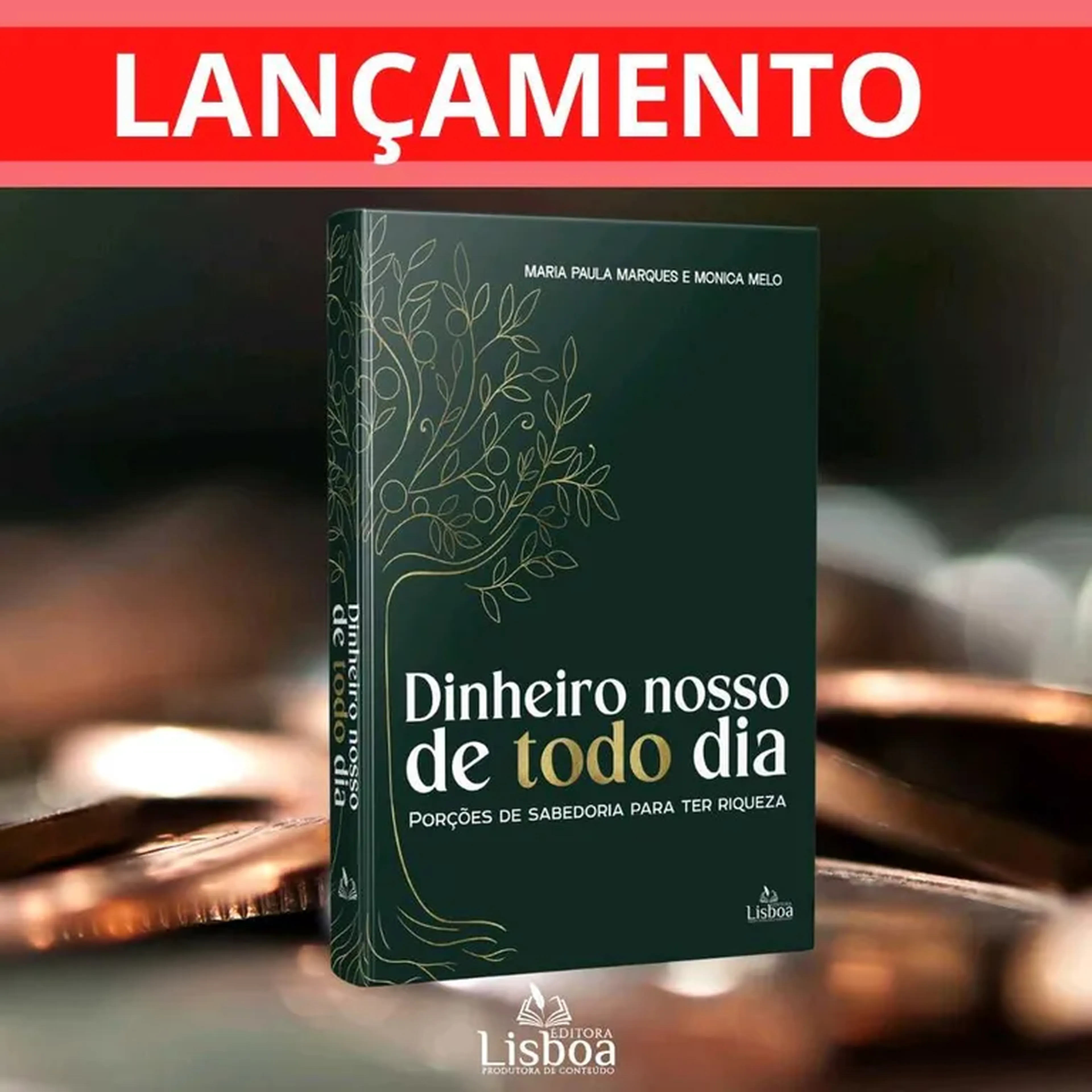 Livro Dinheiro Nosso de Todo Dia imagem