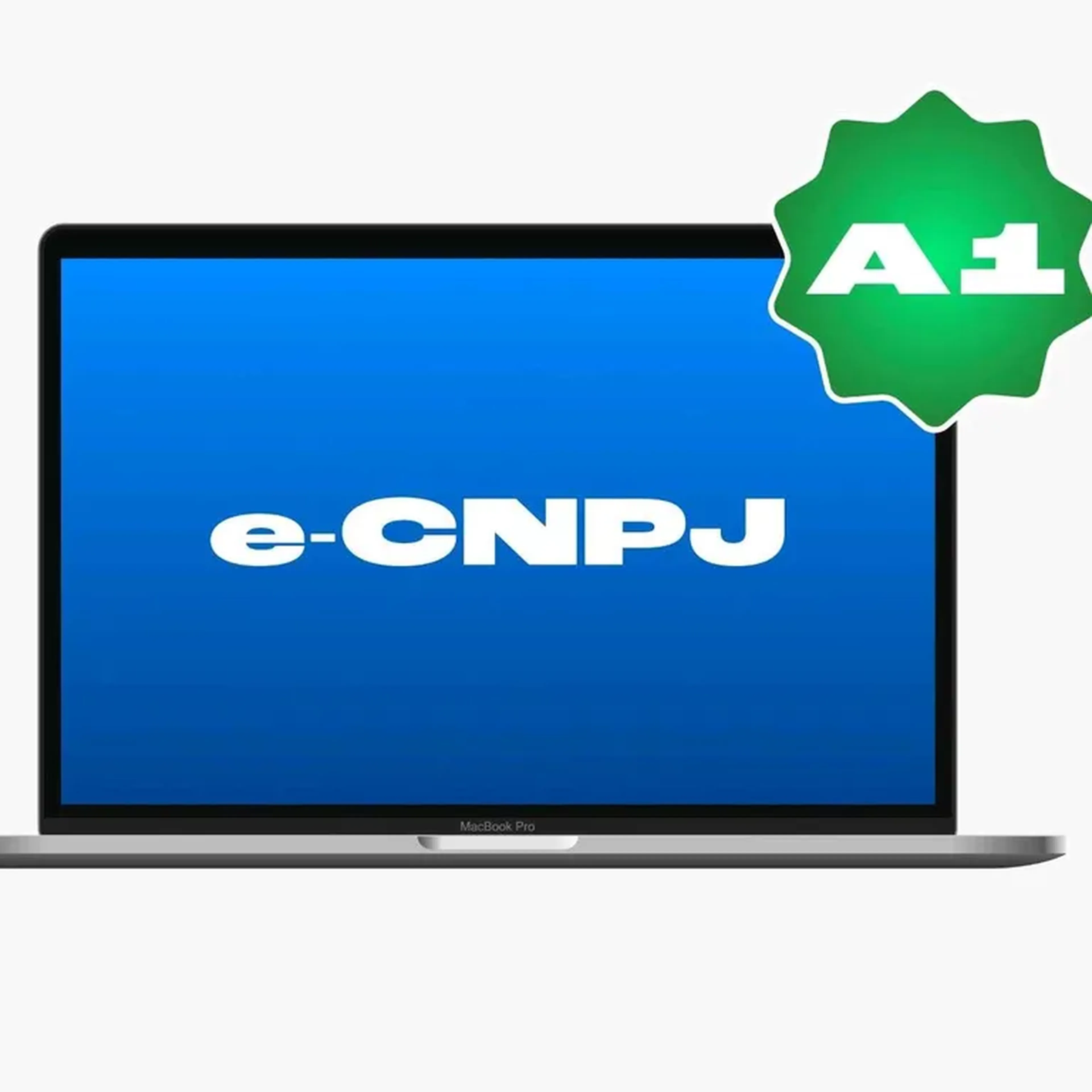 E-CNPJ A1 - validade 12 meses imagem