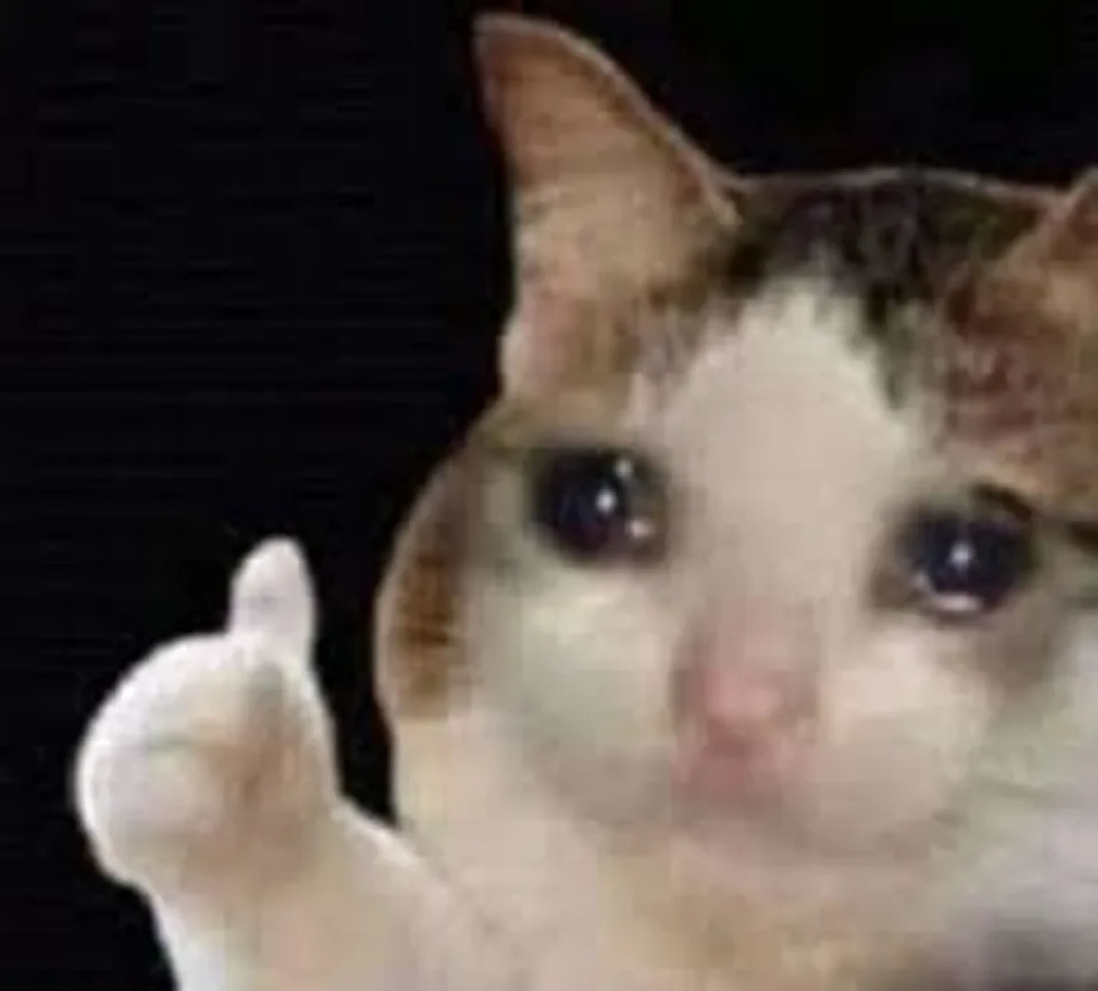 Ajuda para Quitar o Casamento imagem