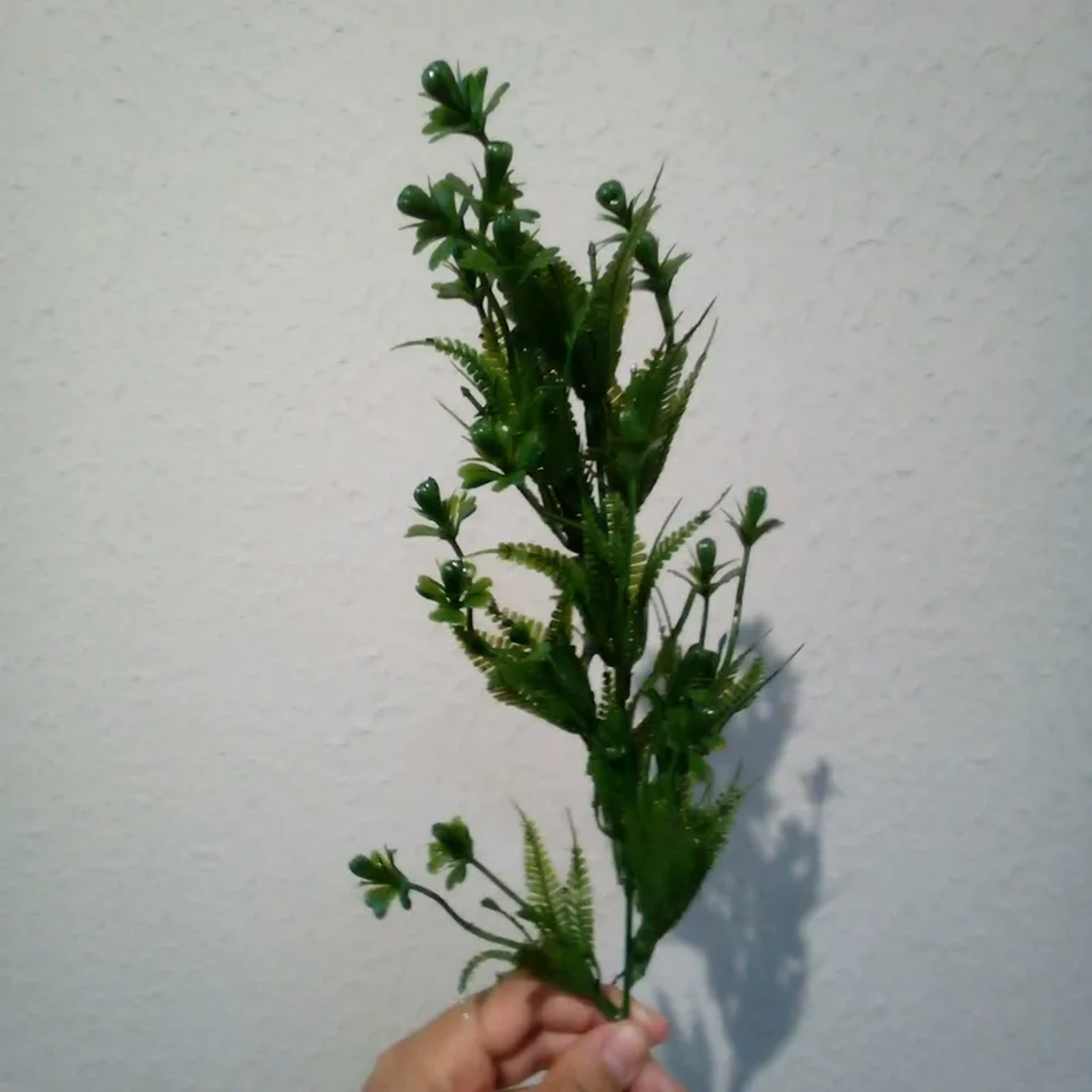 Galho verde imagem