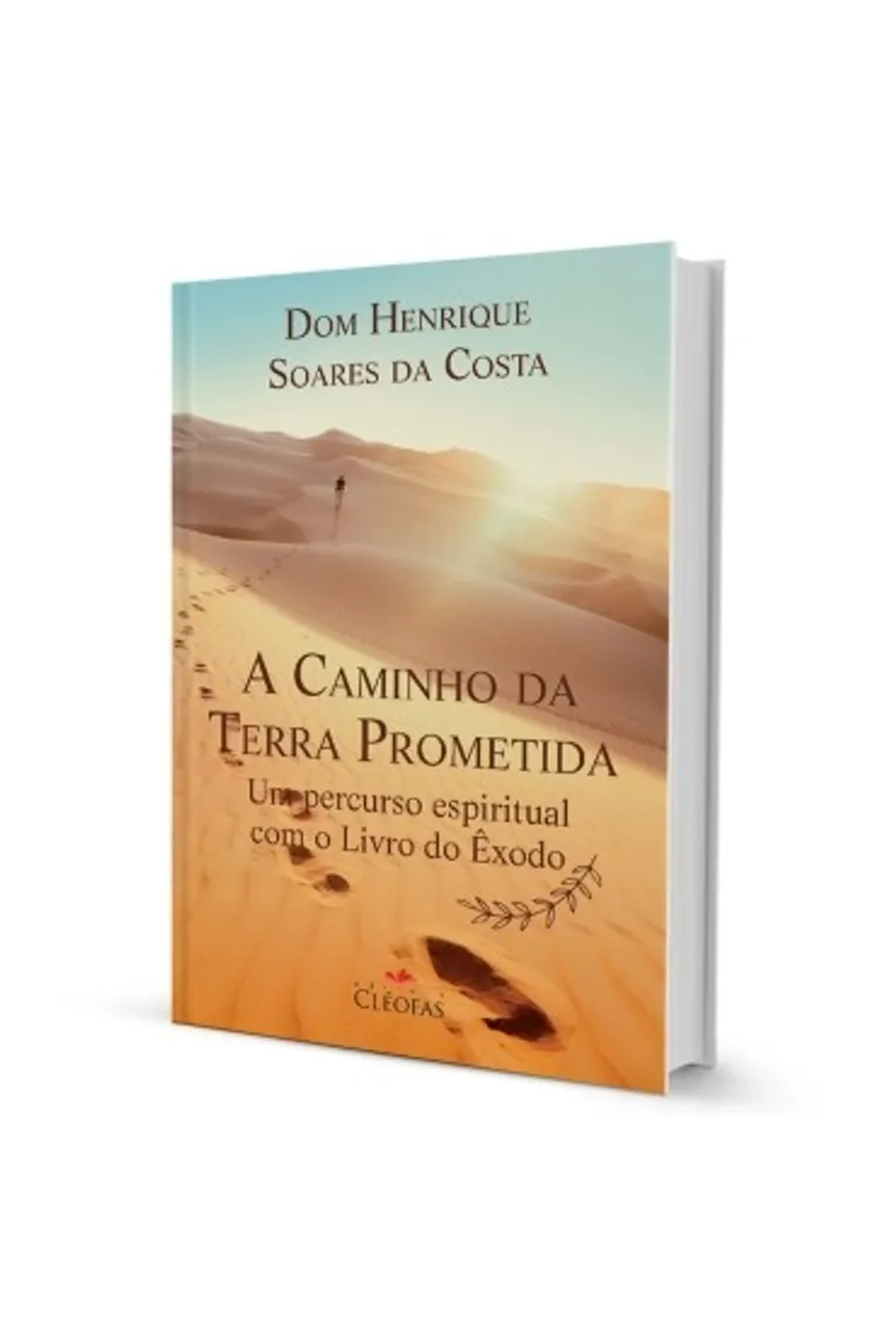 Livro A caminho da Terra Prometida imagem