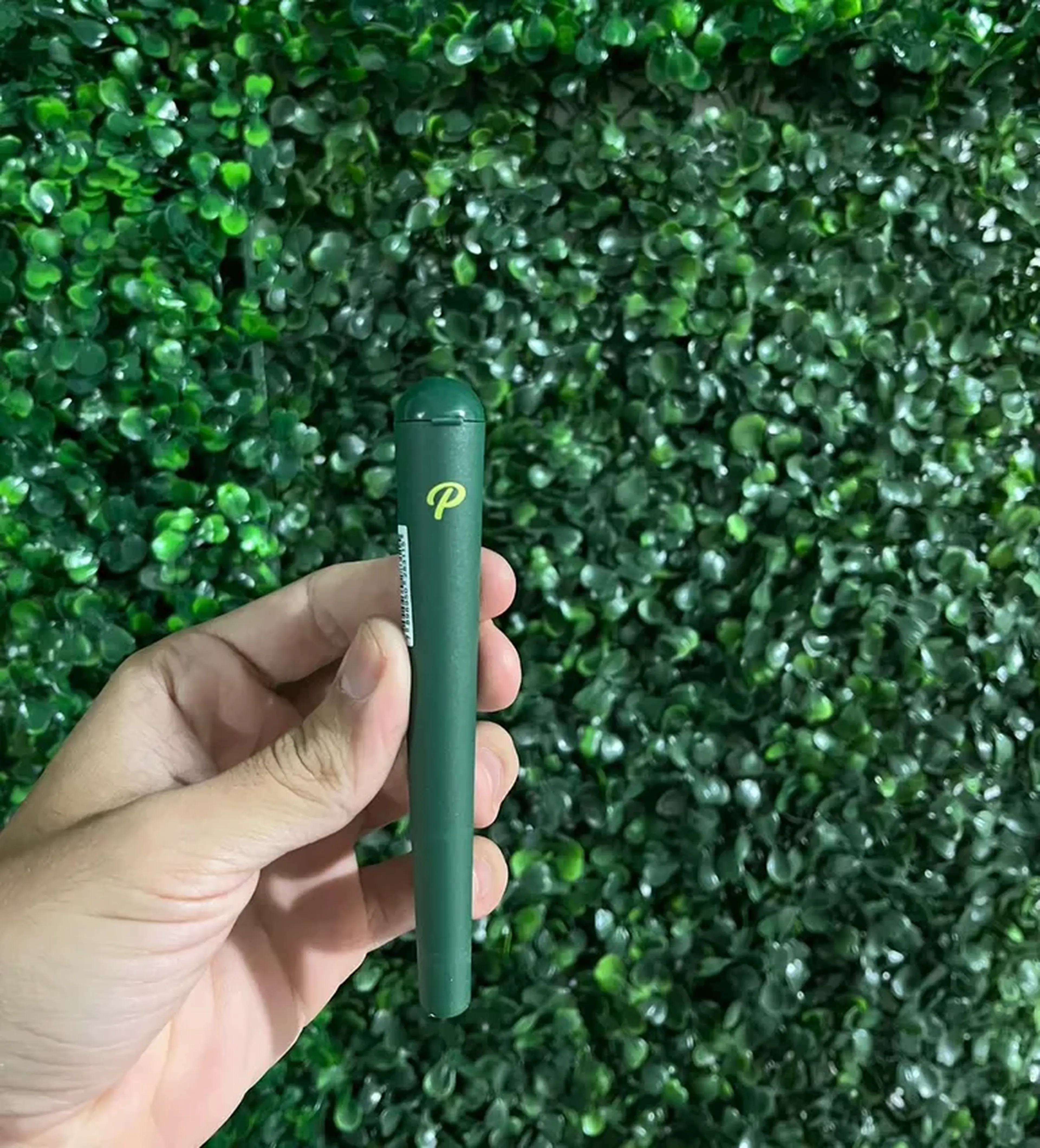 Porta Cigarro Papelito Verde imagem