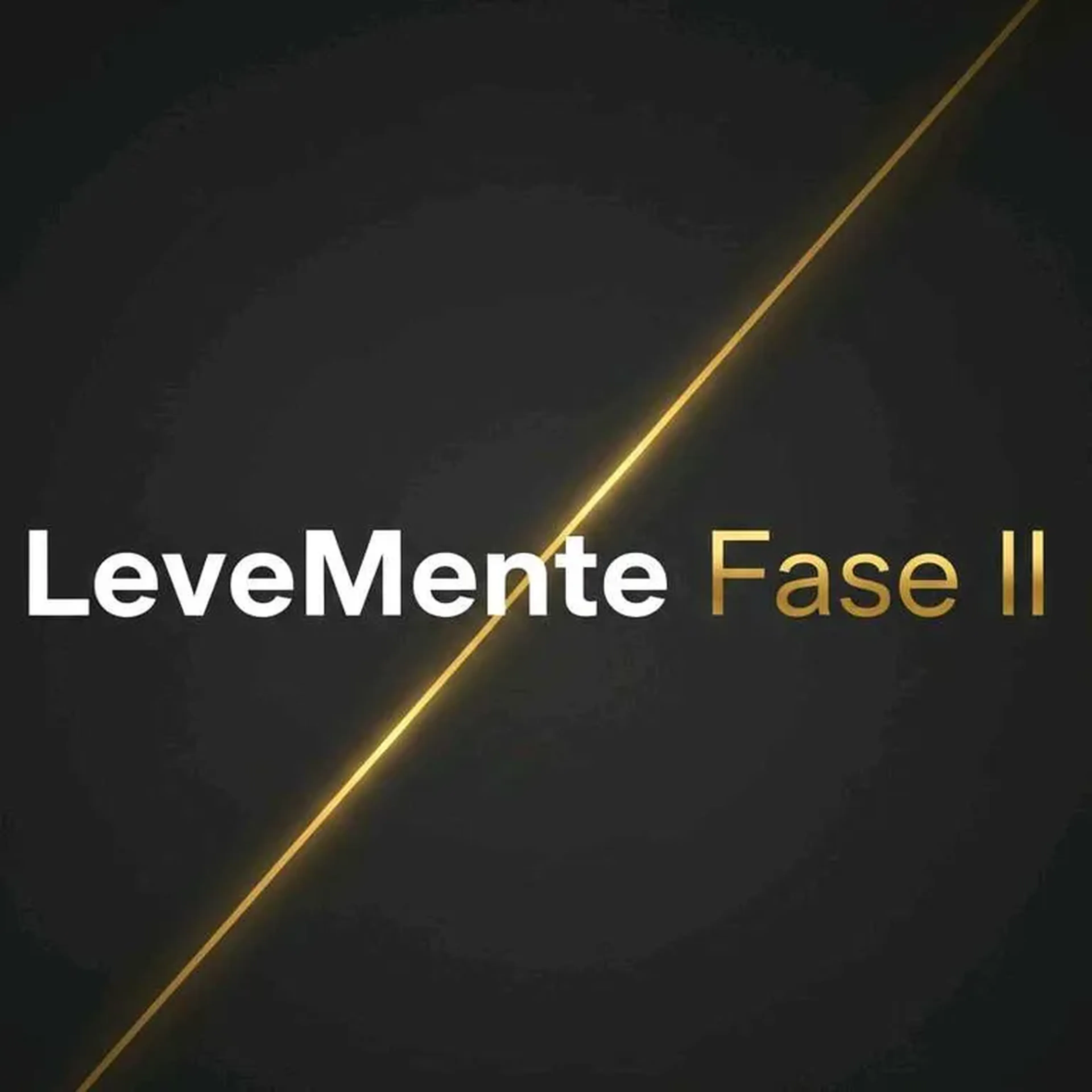 LeveMente Fase II imagem