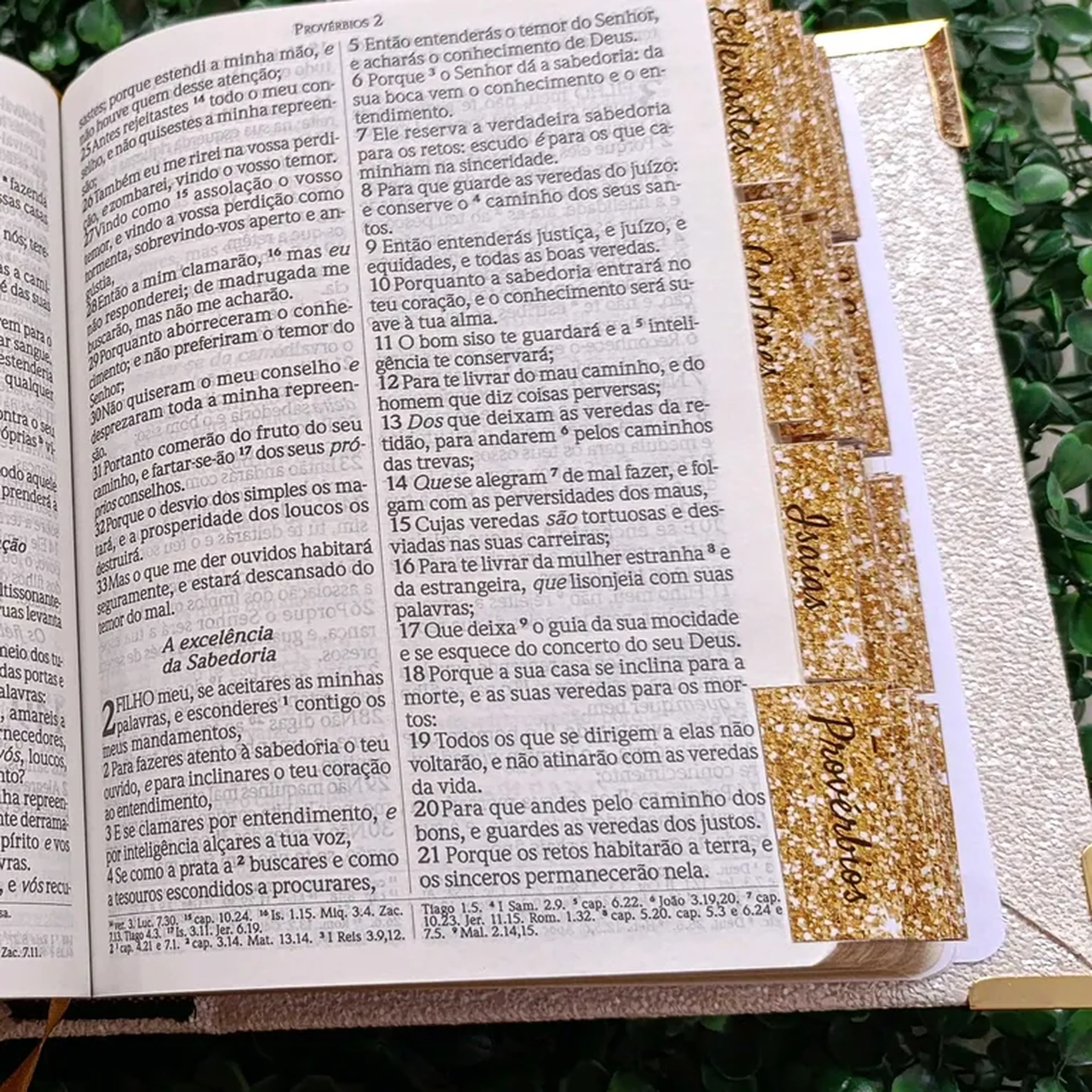 Abas para Bíblia (nome dos livros) imagem