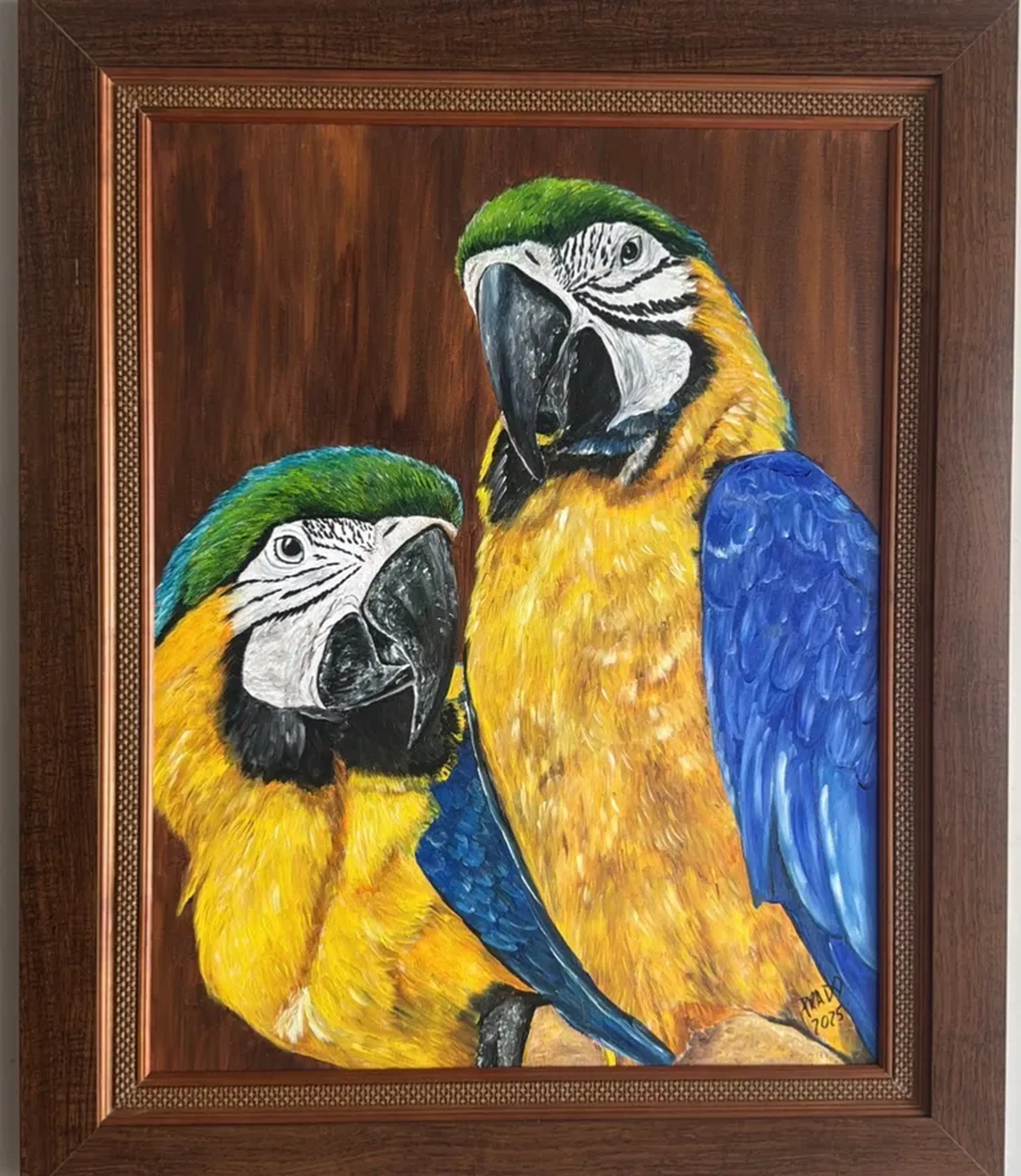 Obra Araras Canindé imagem