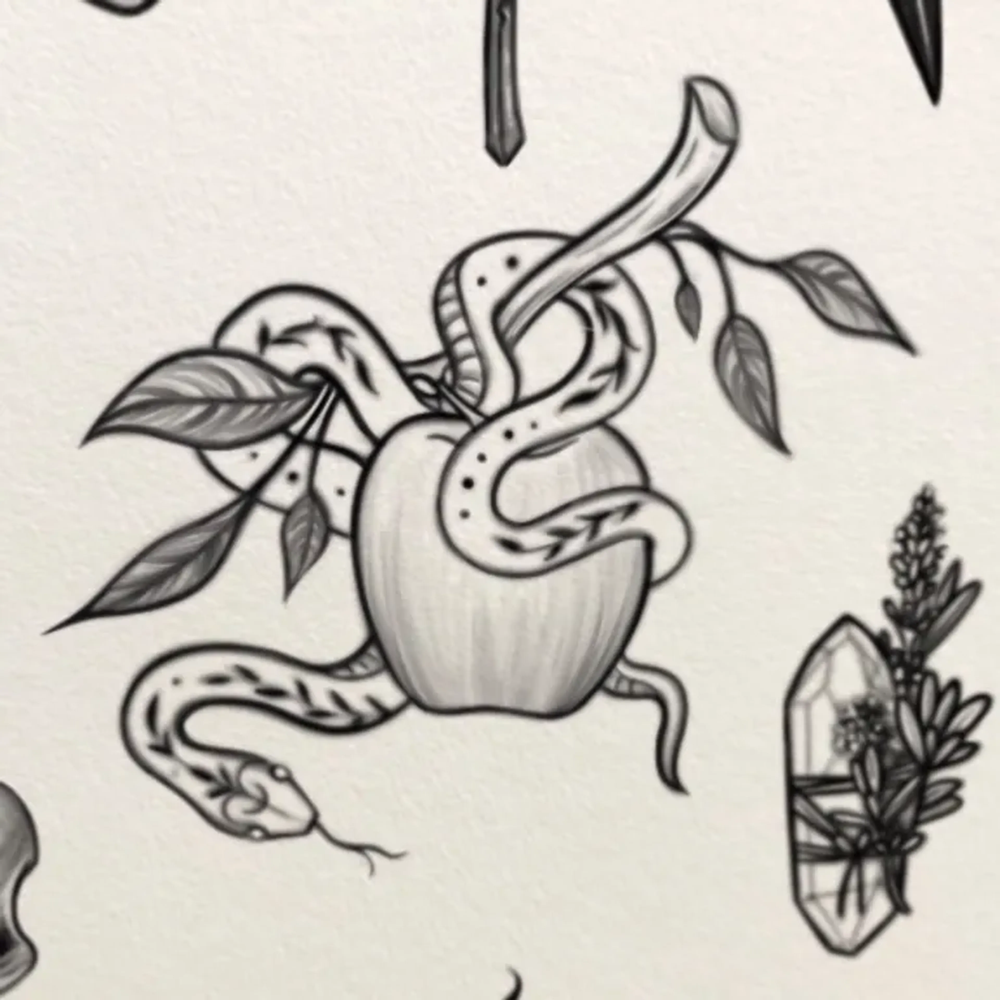 #5 – Jardim Proibido (valor do sinal) imagem