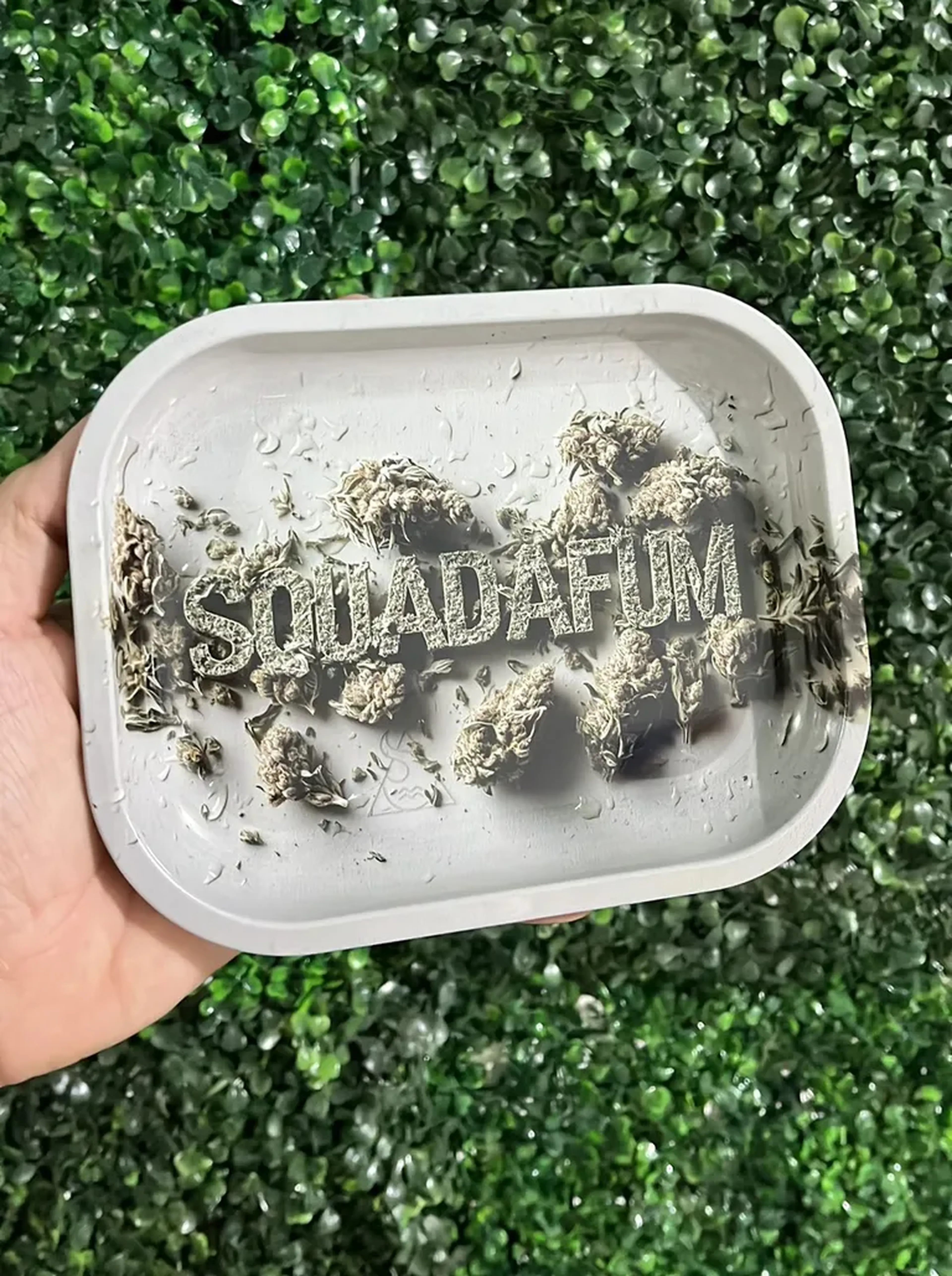 Bandeja Squadafum Pequena imagem