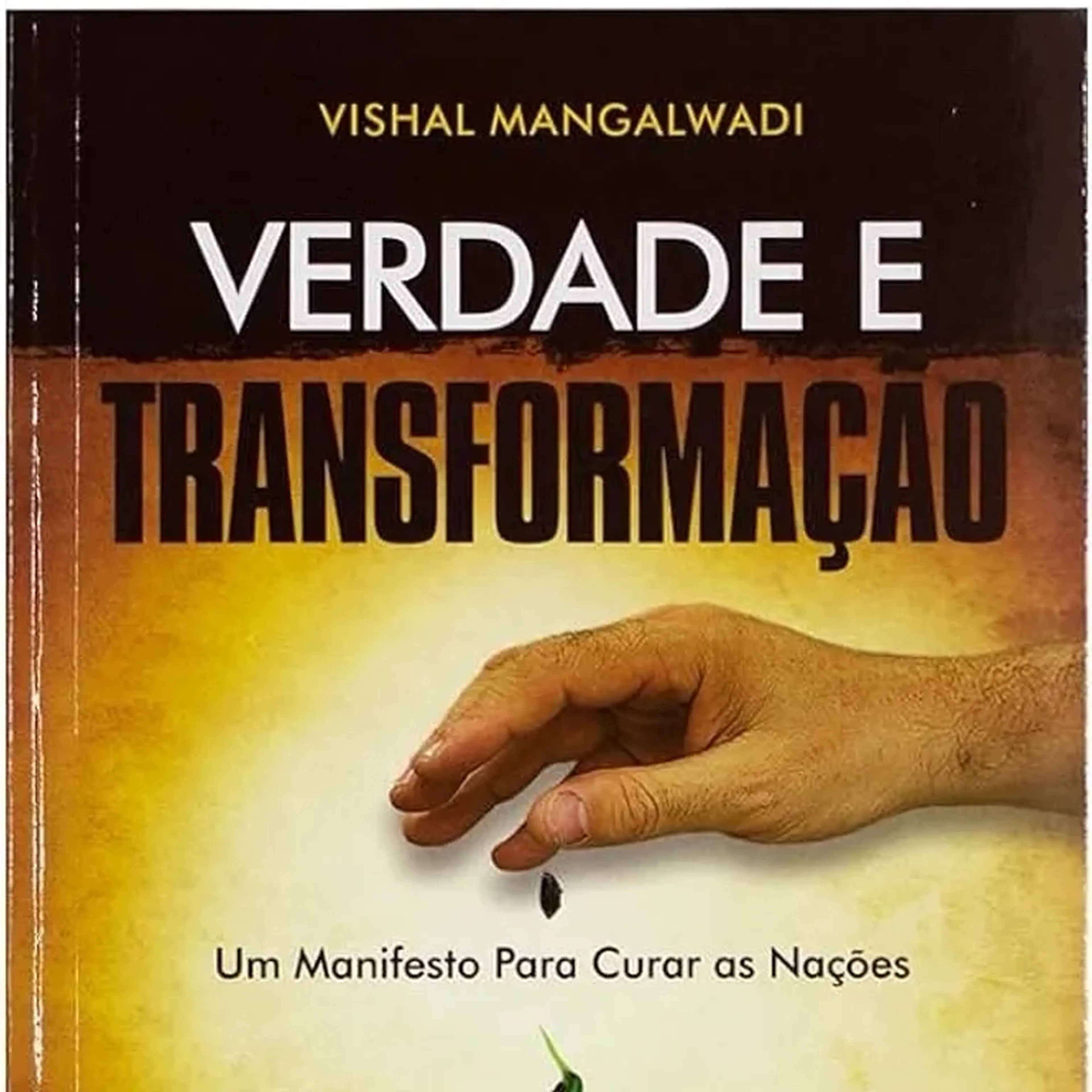 Livro Verdade e Transformação imagem