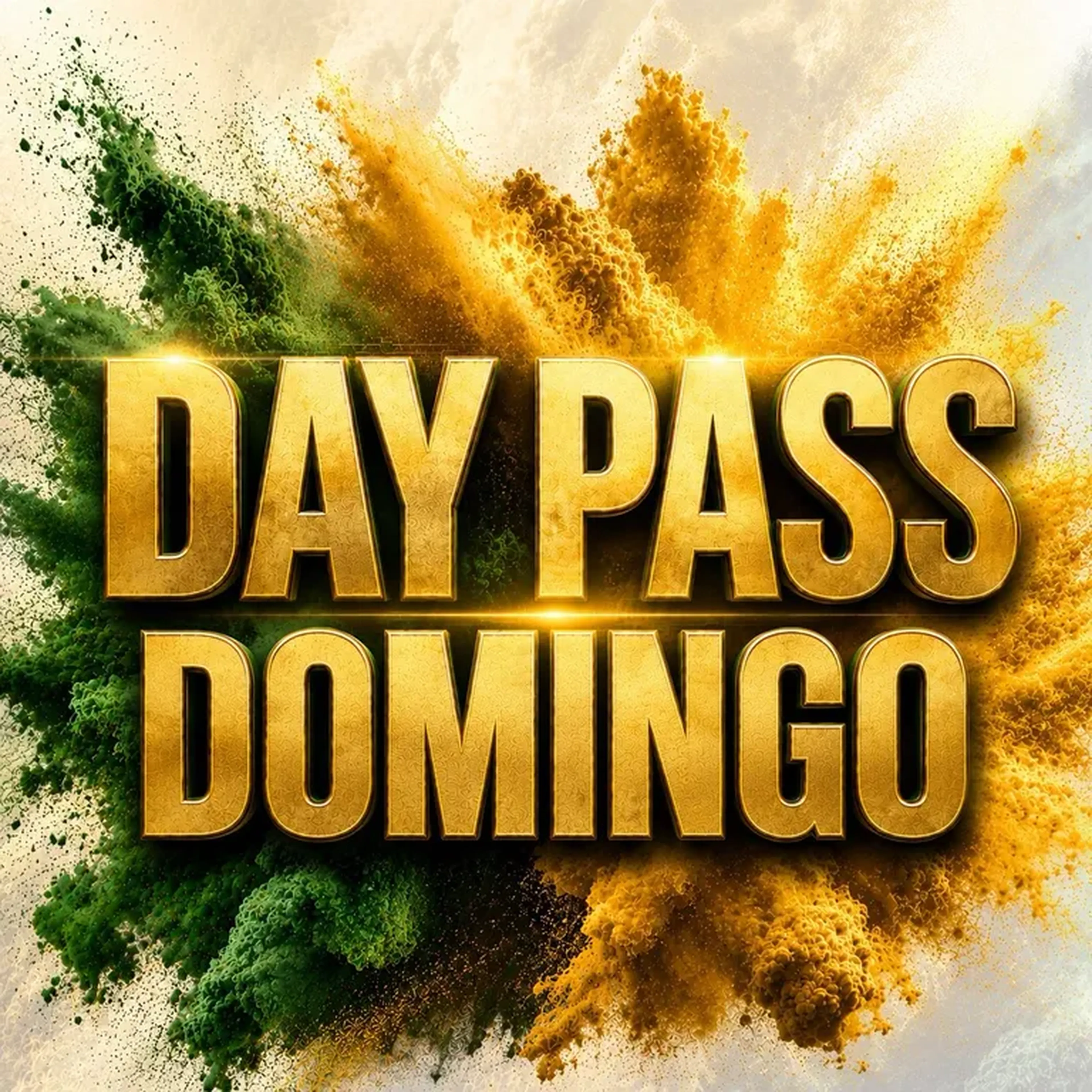 Day Pass BLO domingo 8 de novembro 3° lote imagem