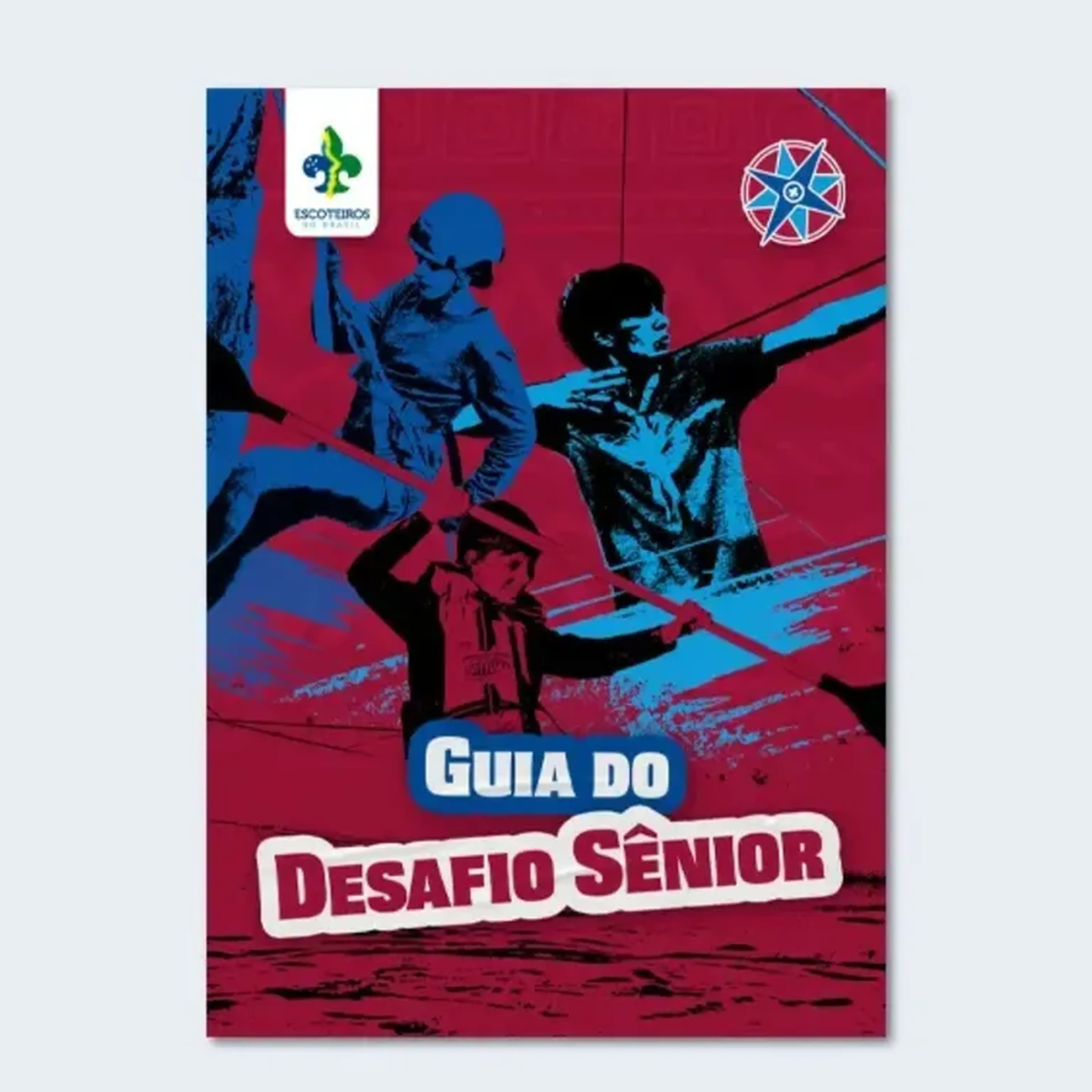 Guia do Desafio Sênior imagem
