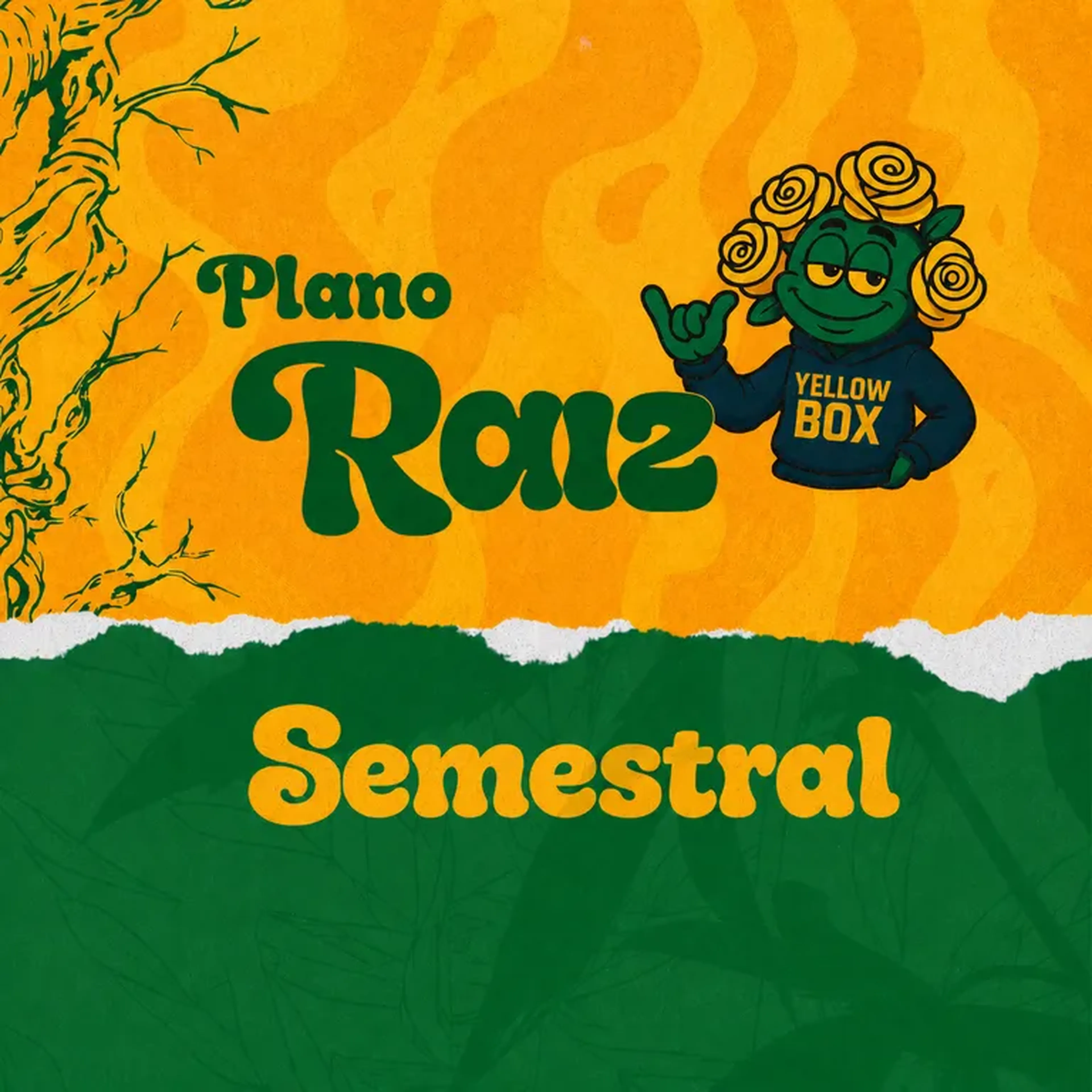 PLANO RAIZ - SEMESTRAL imagem