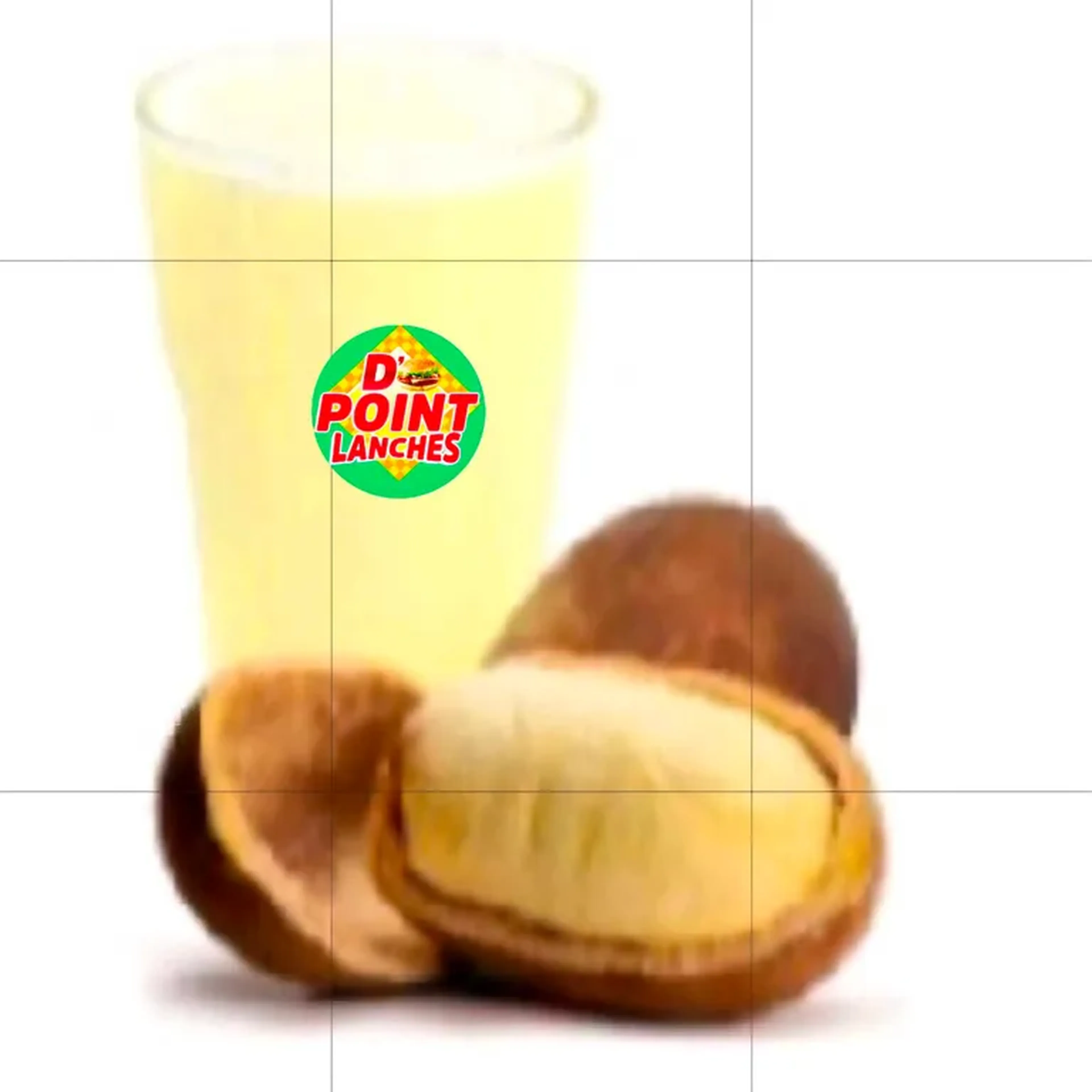 Cupuaçu 360ml água imagem