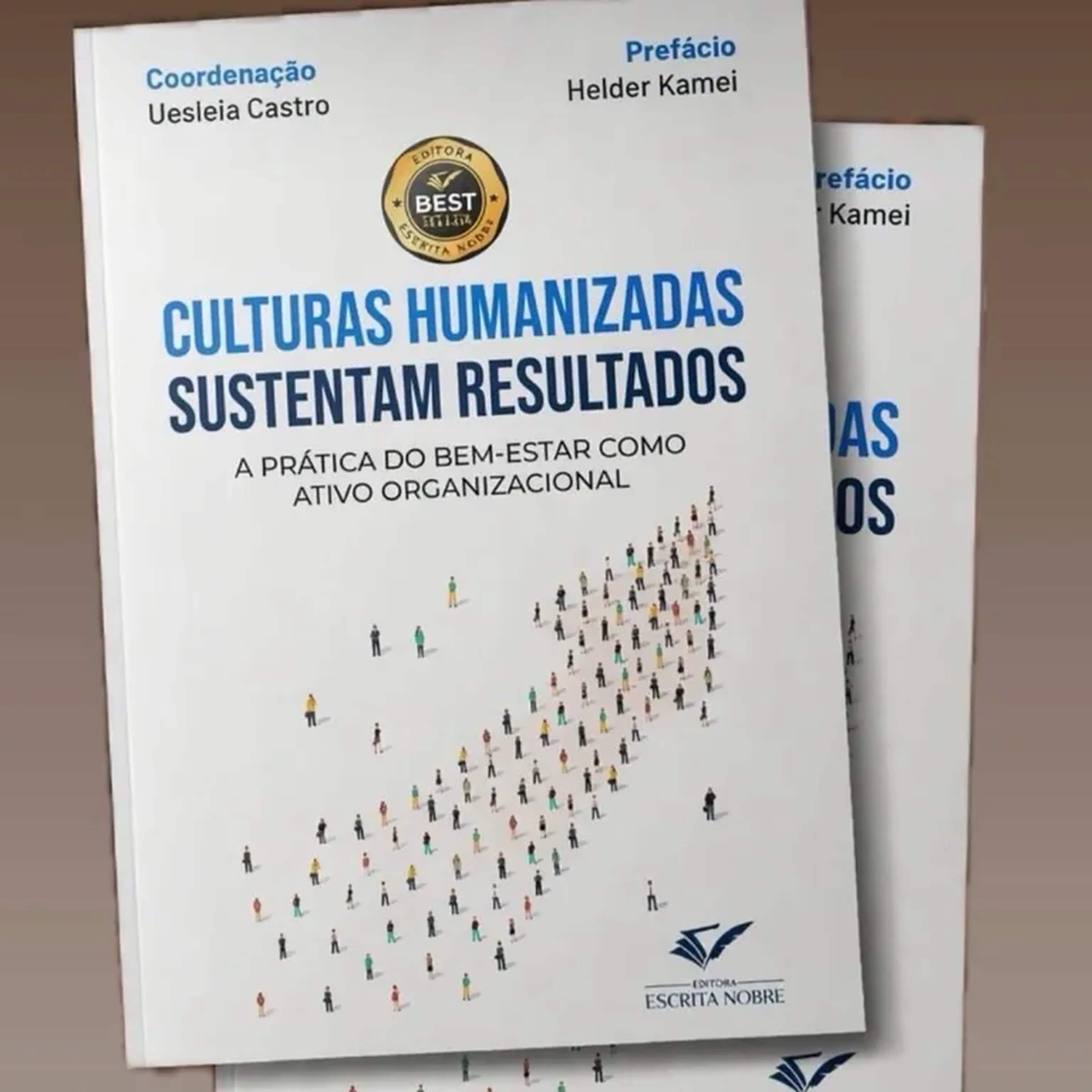 Culturas Humanizadas Sustentam Resultados imagem