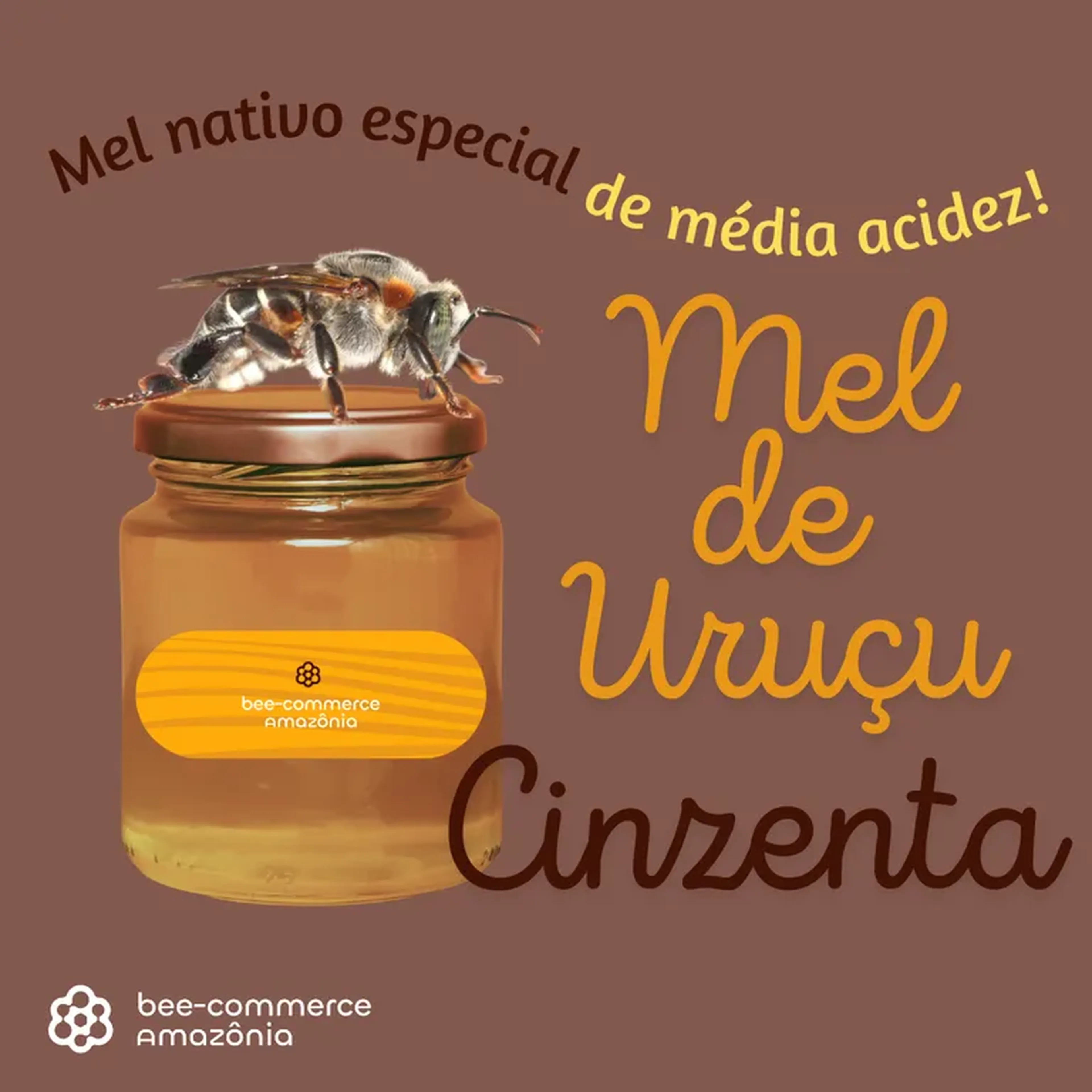 Mel de Uruçu-cinzenta - 150 ml imagem