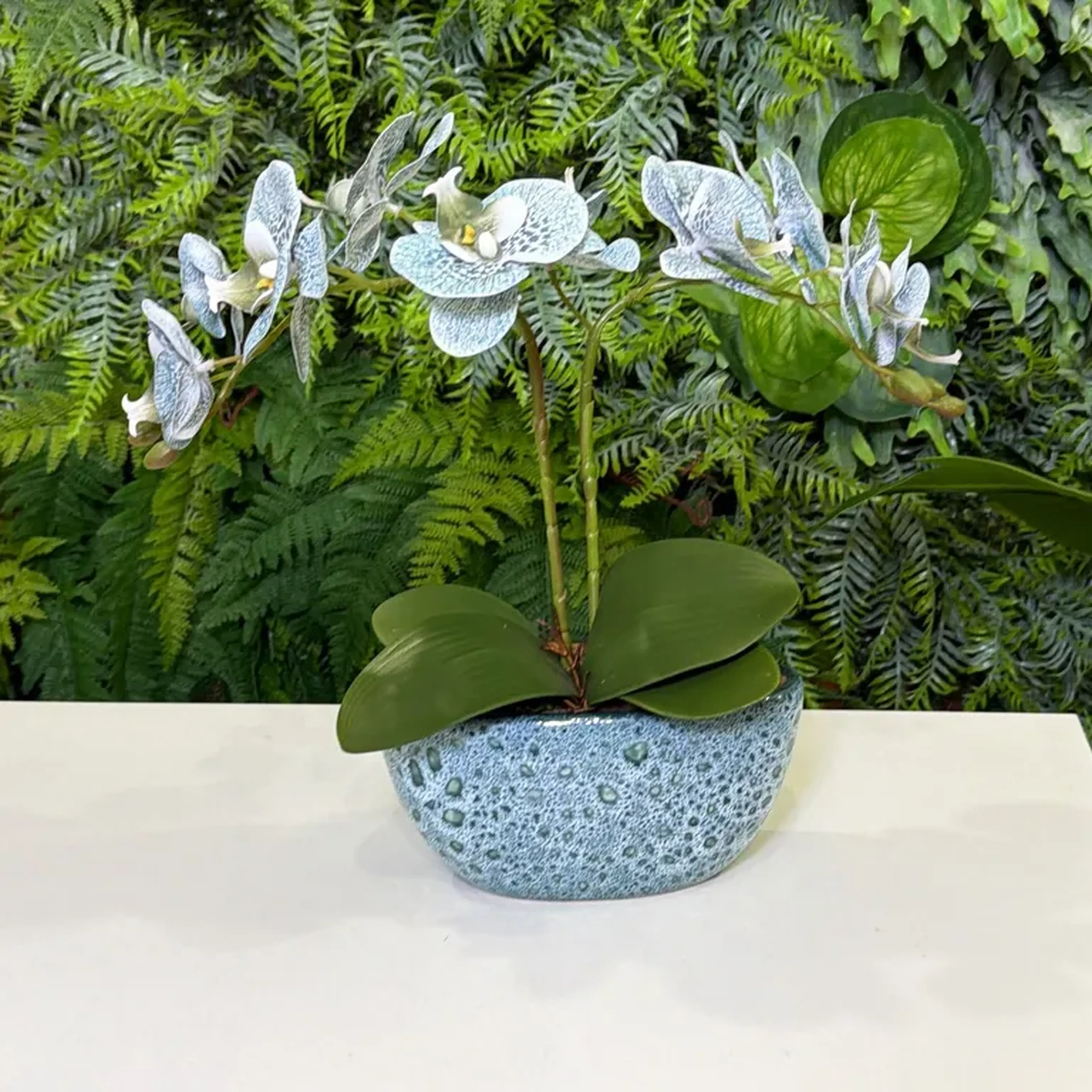 Arranjo de orquídea imagem