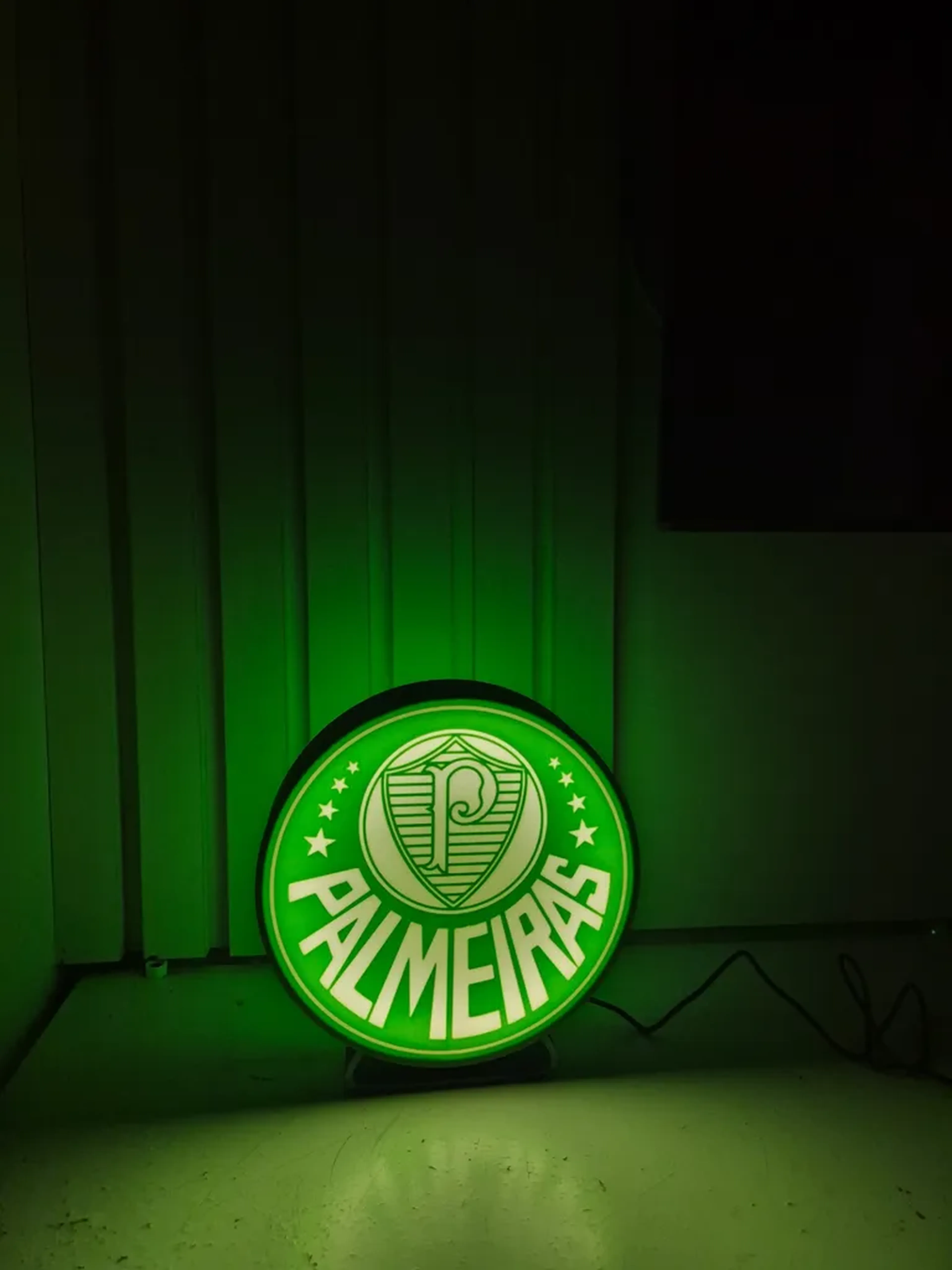 Luminária Palmeiras LED imagem