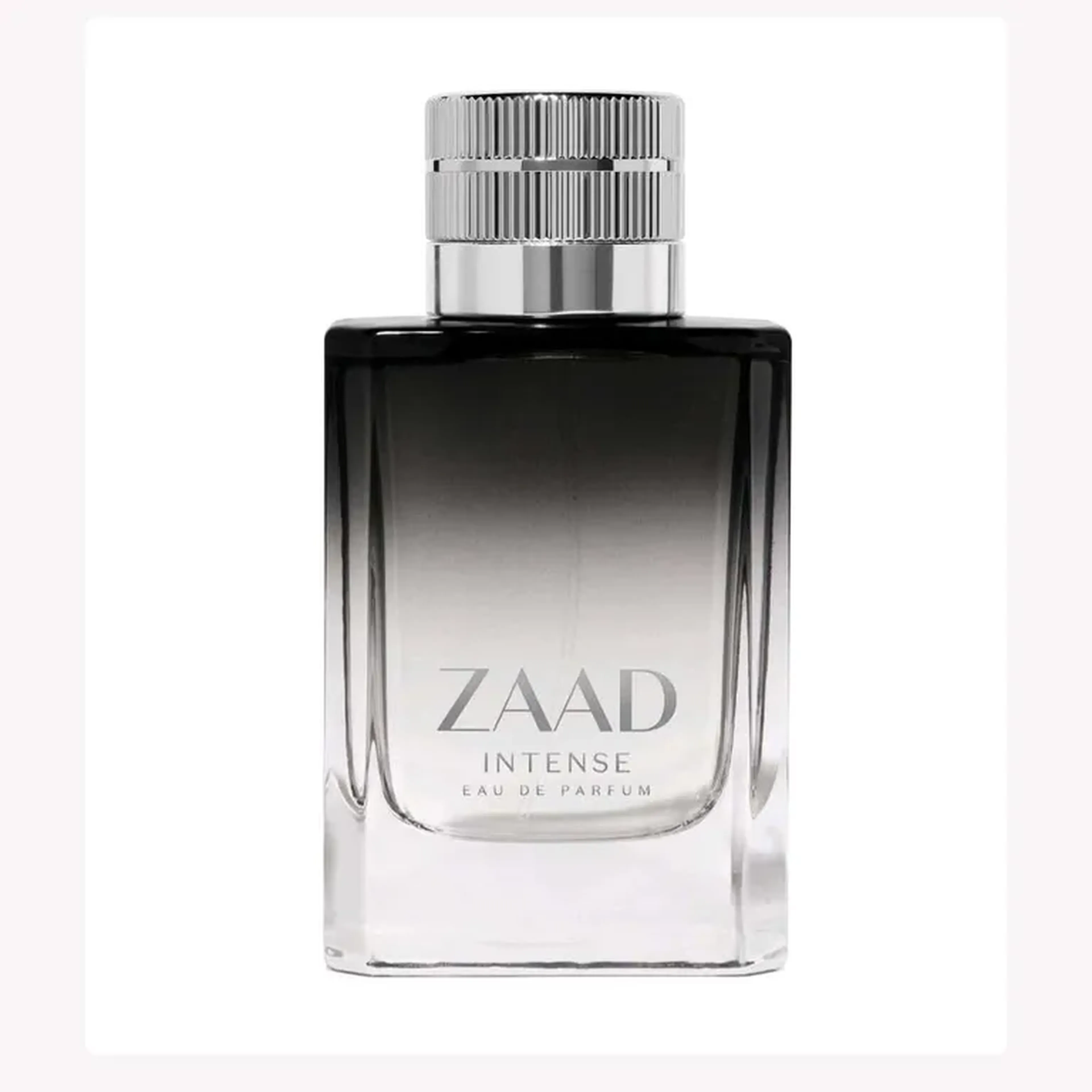 Zaad Intense imagem