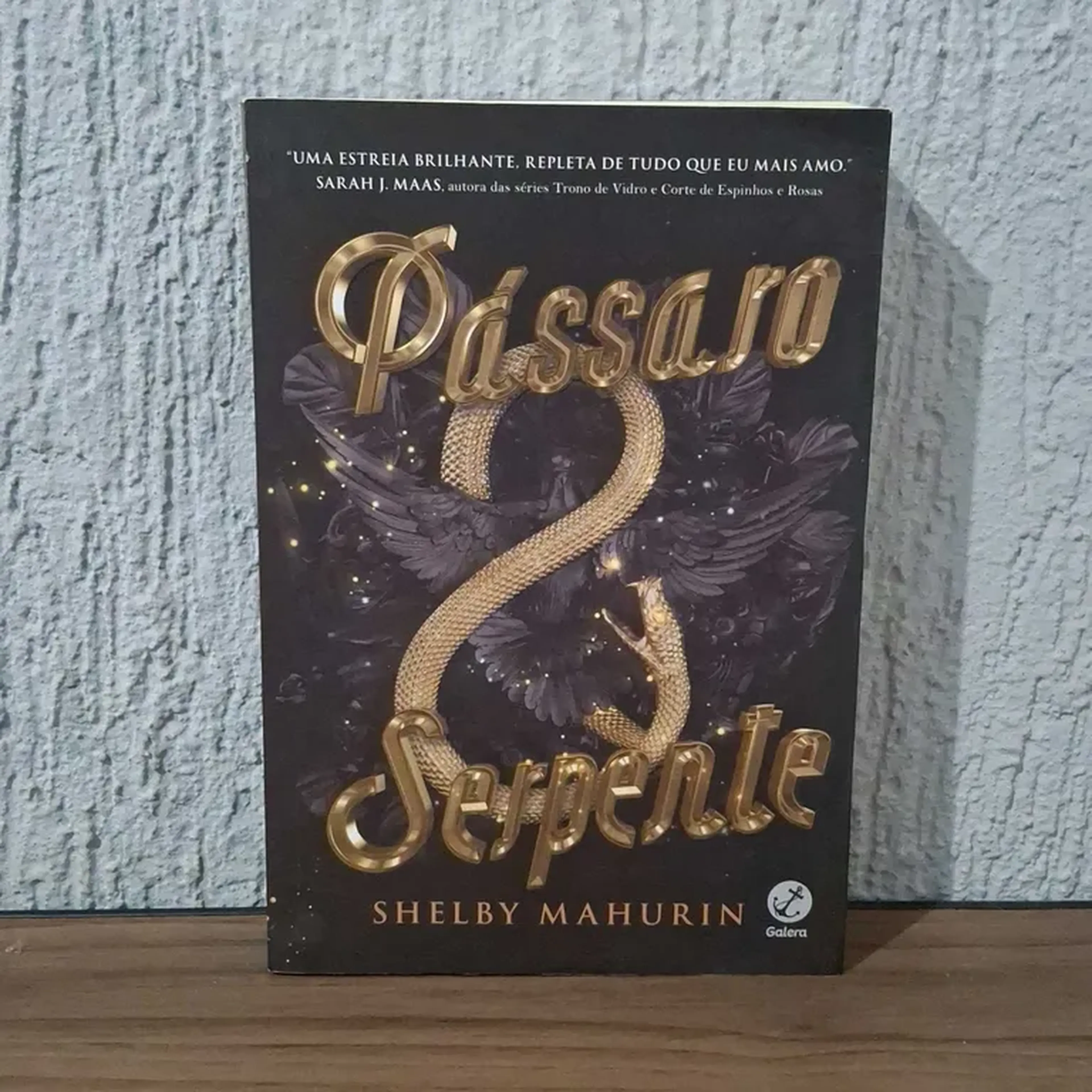 Pássaro e serpente imagem