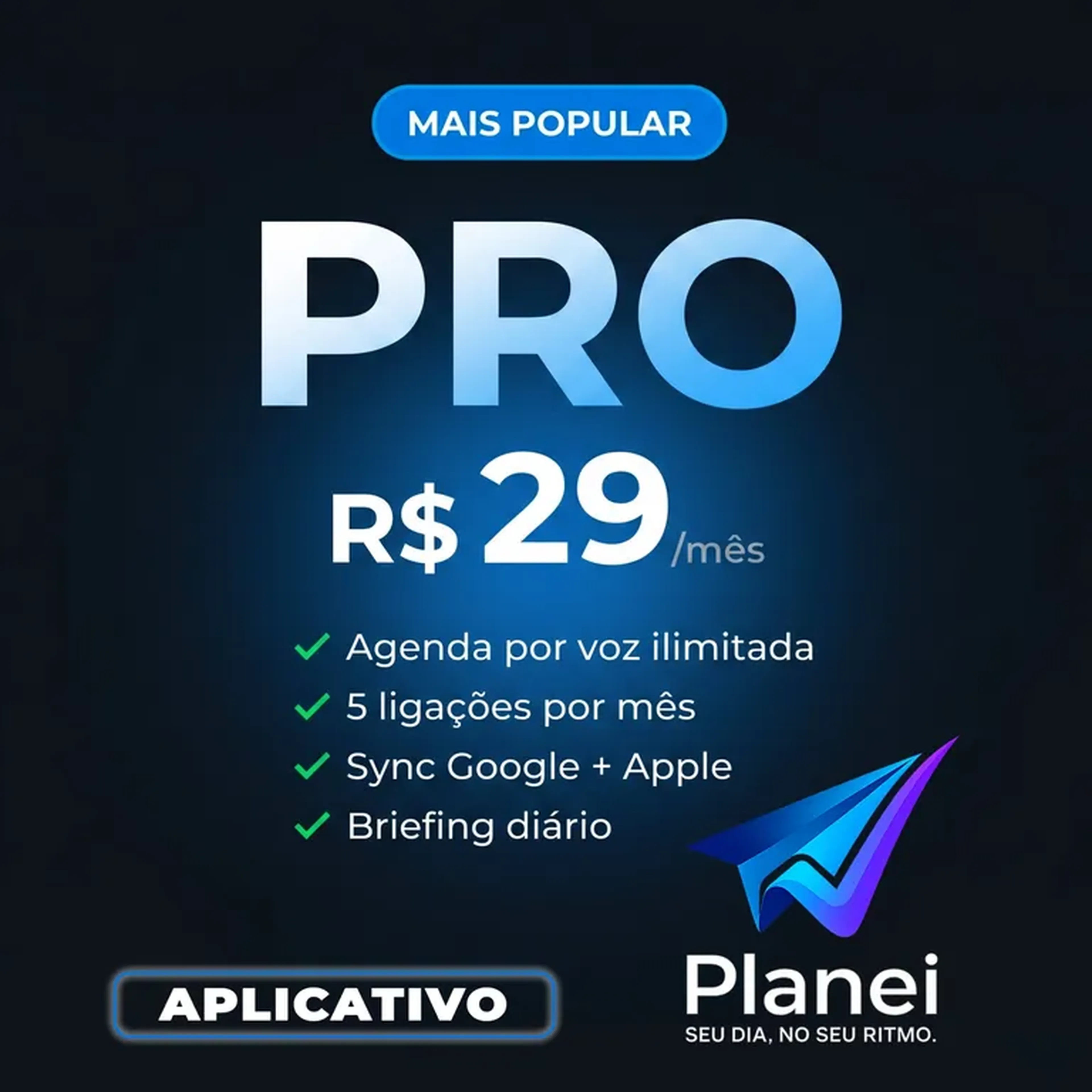 APP Planei Pro — Assistente pessoal com IA imagem
