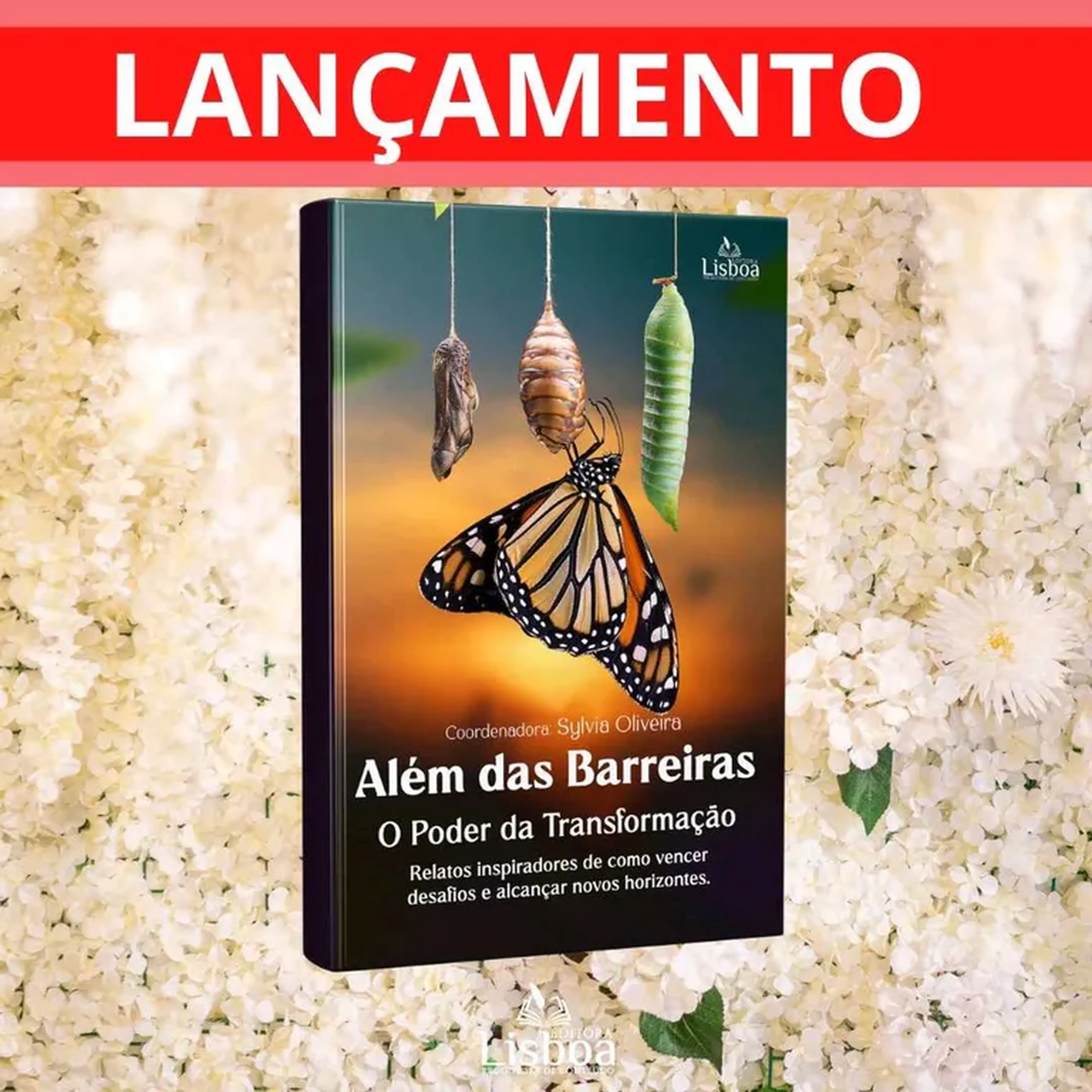 Livro: Além das Barreiras: O Poder da Transformação imagem
