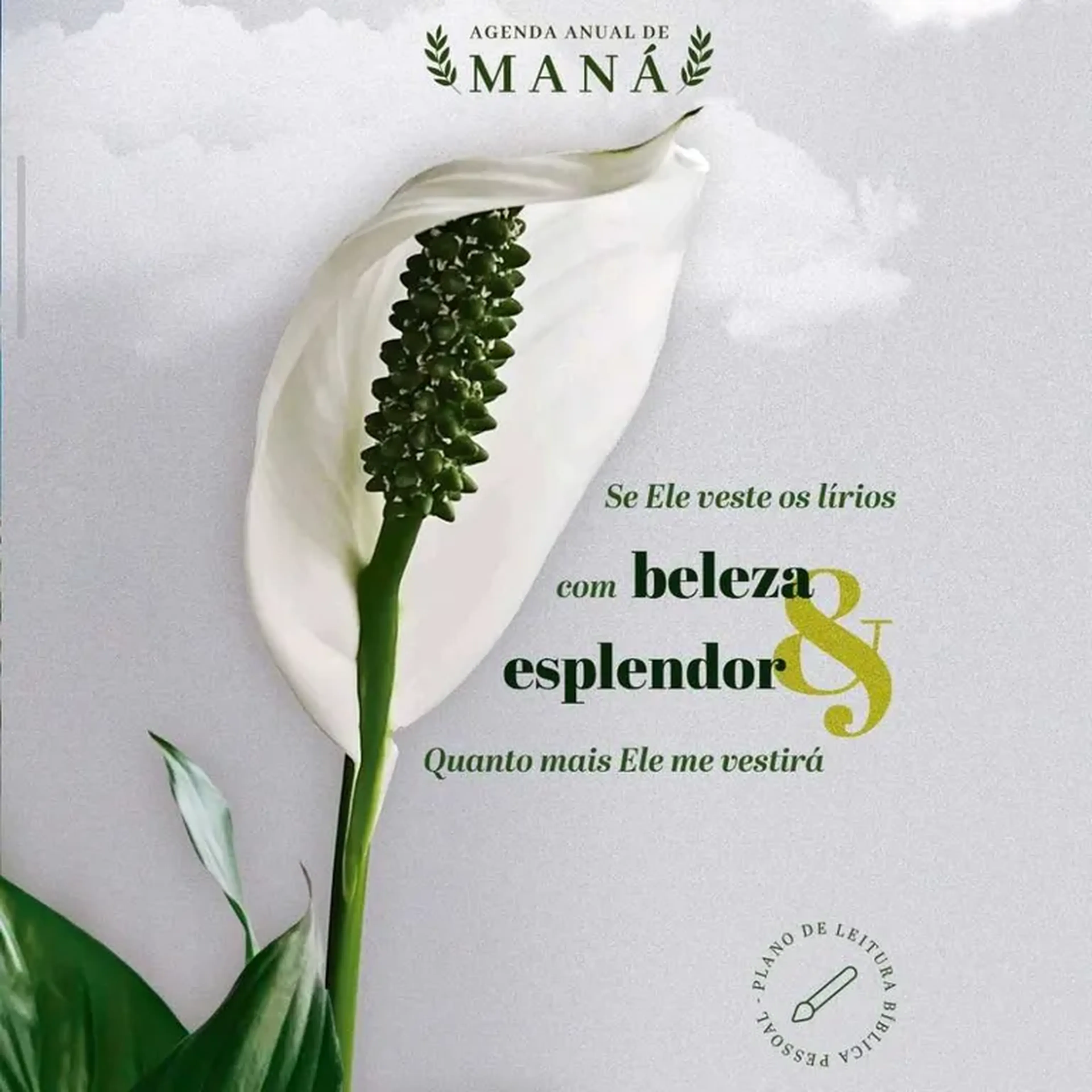 Agenda Anual de Maná (Pessoal) imagem