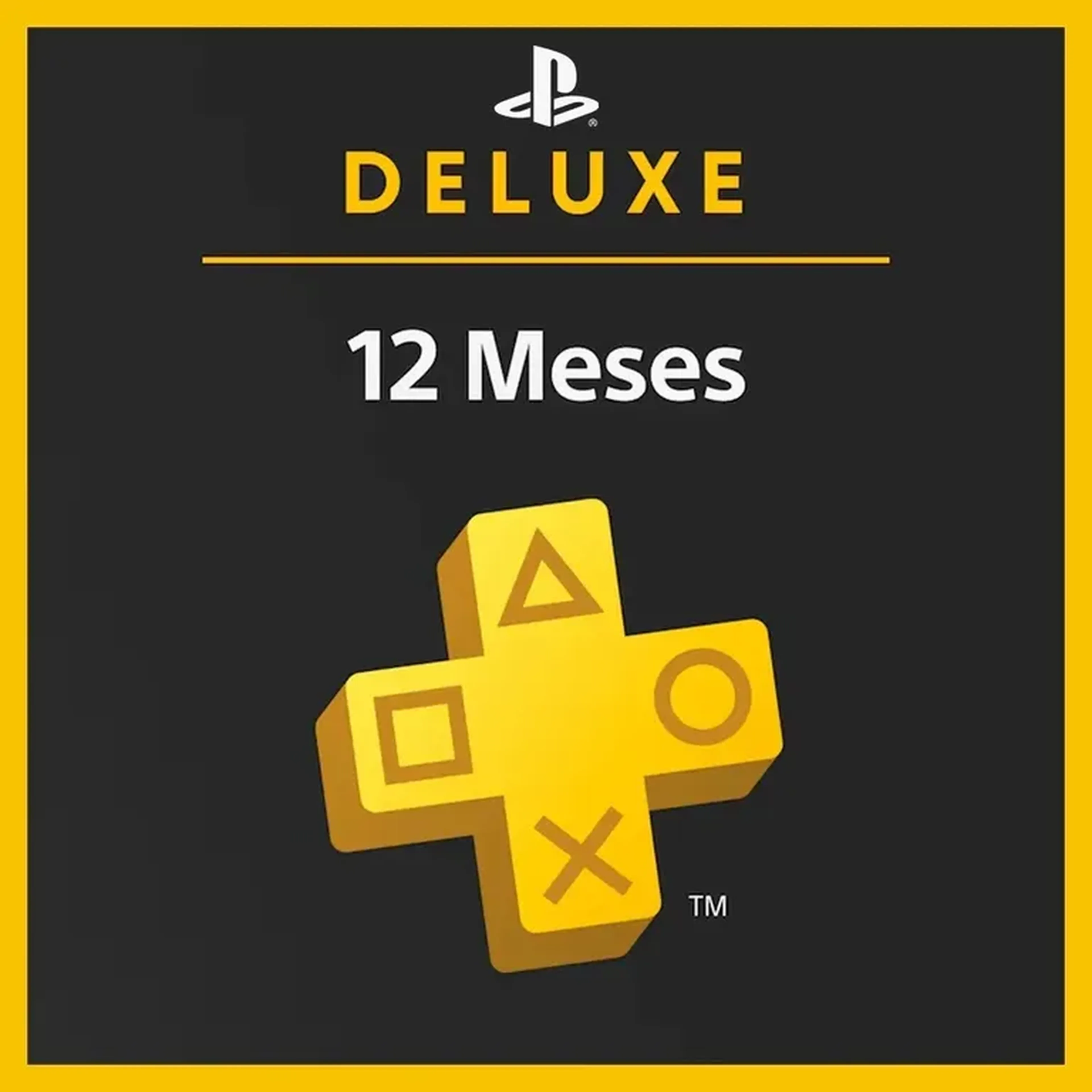 PLAYSTATION PLUS DELUXE 12 MESES imagem