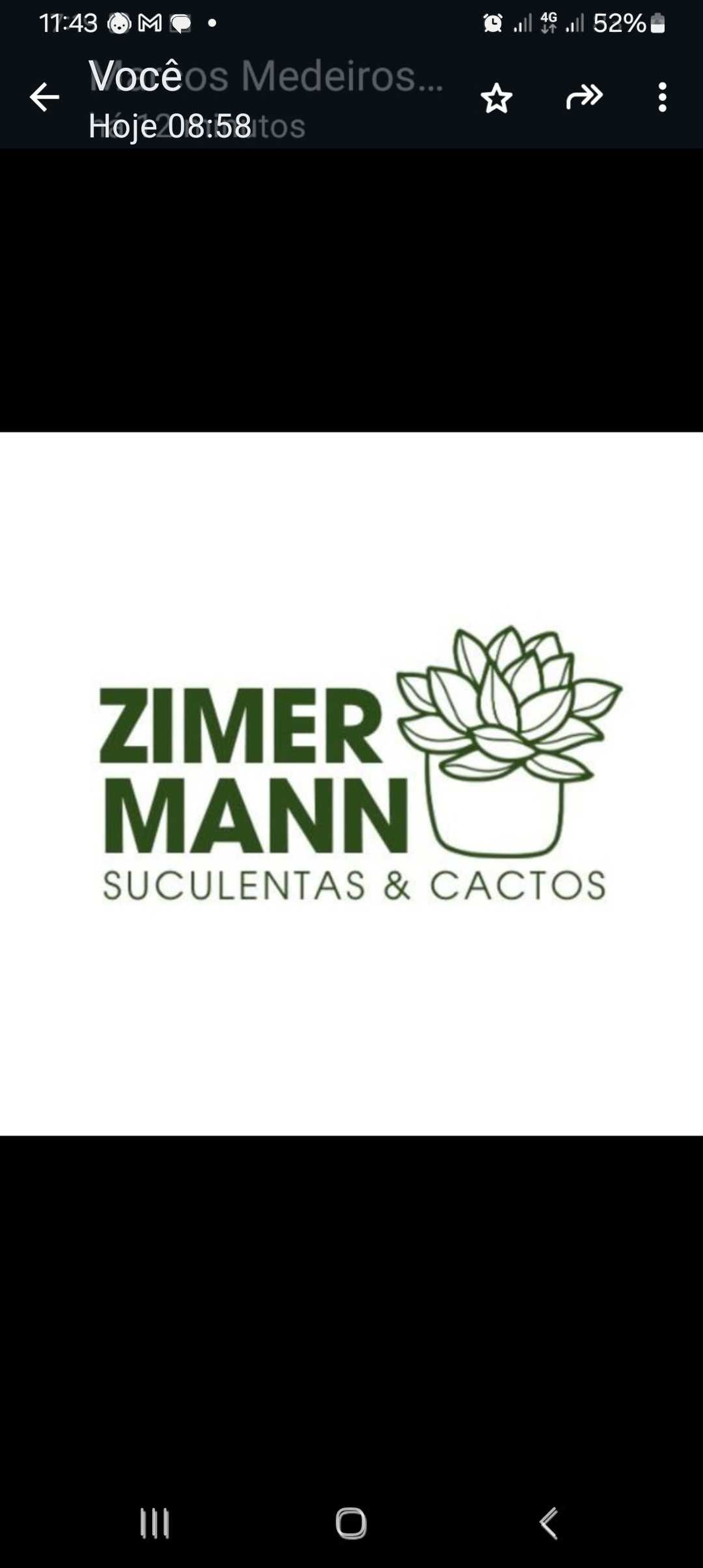 PAULO ROBERTO ZIMERMANN imagem
