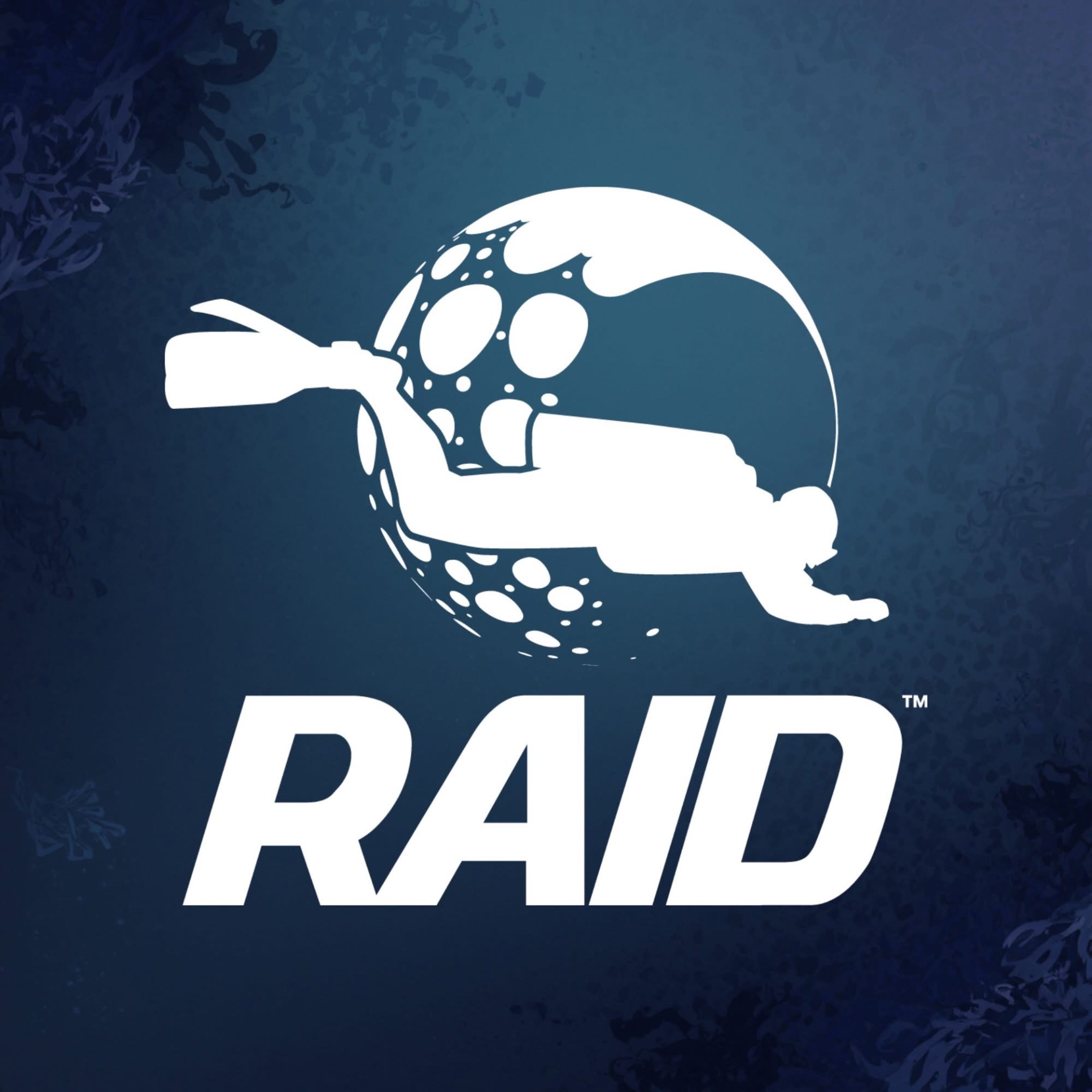 Dive Raid Brasil imagem