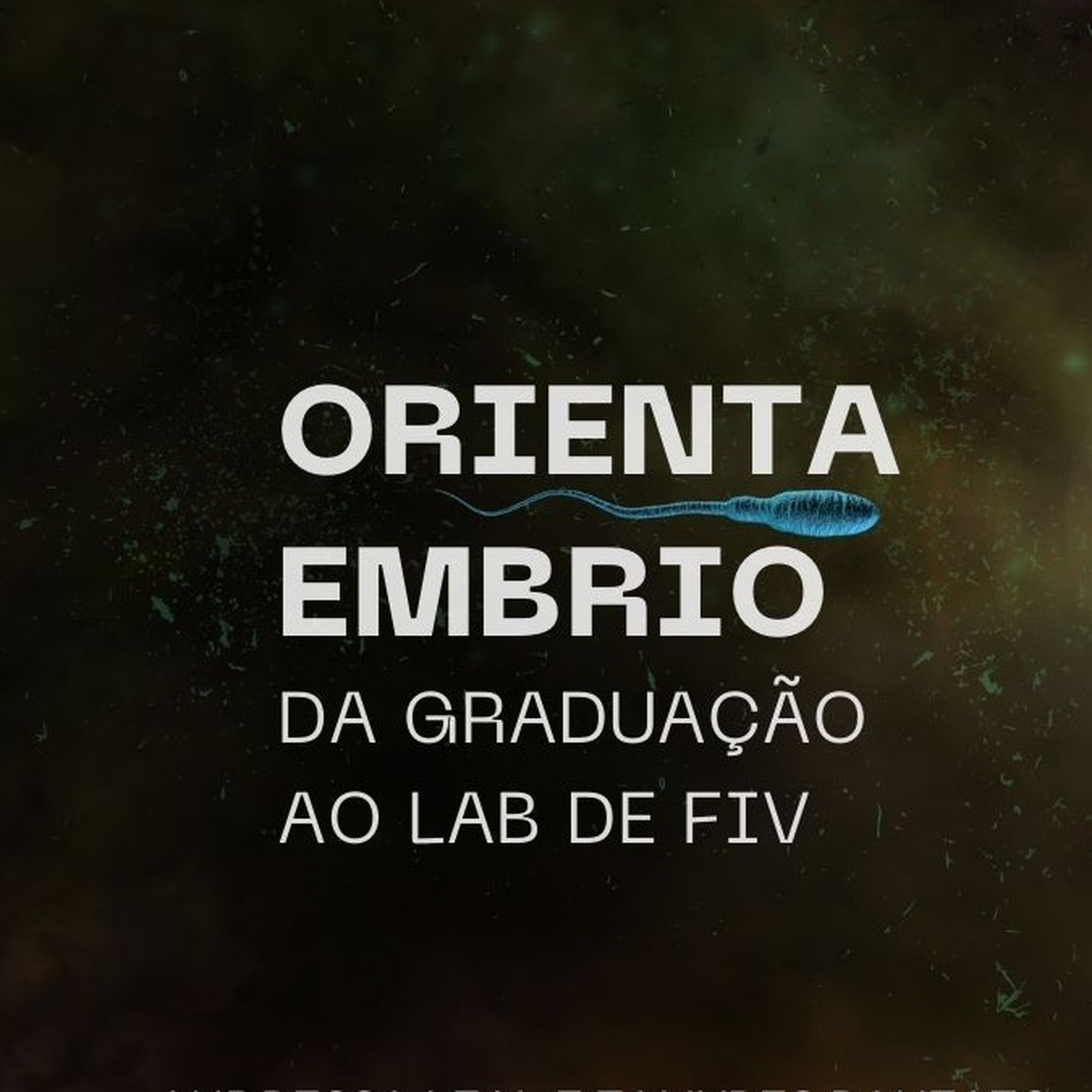 ANDRESSA MENDES GONCALVES LEAL imagem
